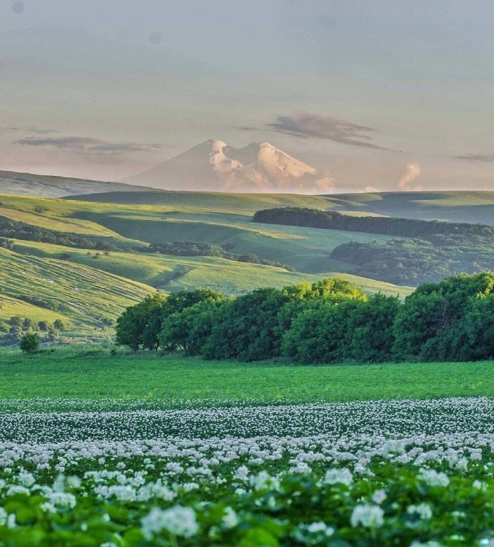 Nature of the Stavropol Territory - Stavropol region, Russia, Nature, beauty of nature, beauty, The photo