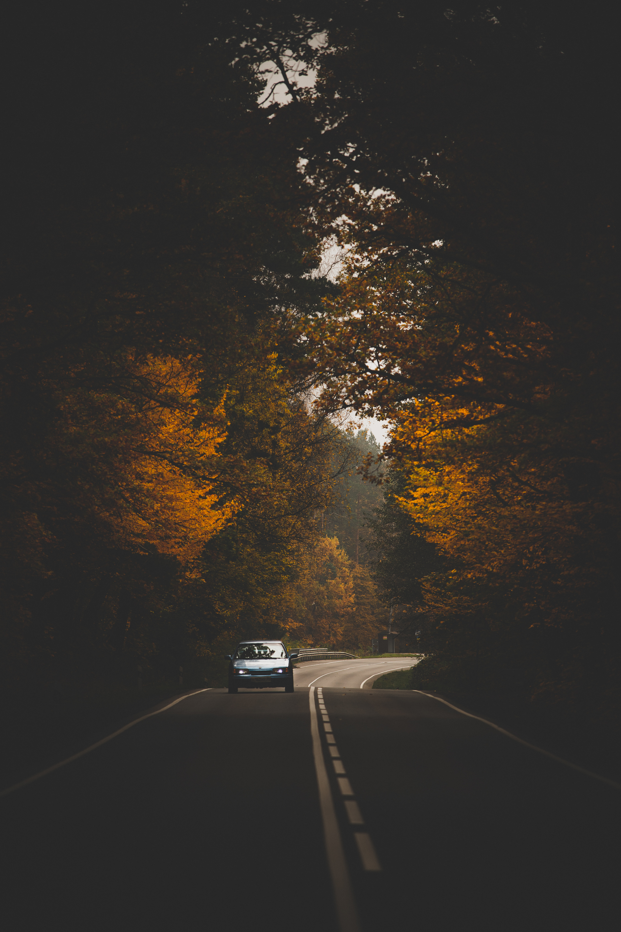 Warm memories and beautiful roads to you :) - My, Kaliningrad, Baltiysk, Road, Longpost