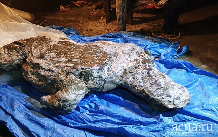 In Yakutia, a carcass of a woolly rhinoceros from the Ice Age was found in unique preservation - about 80% - ice Age, Yakutia, Woolly rhinoceros, Find, Academy of Sciences, Video, Longpost, The science