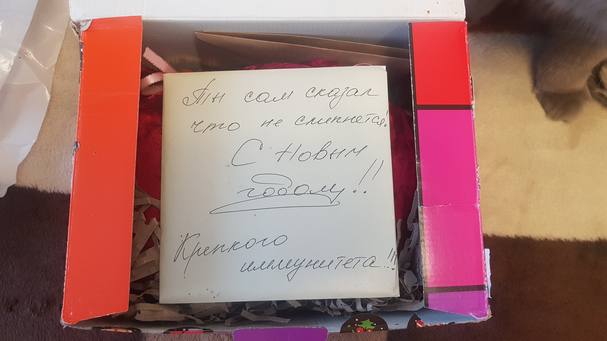 ADM: Krasnoye Selo => Irkutsk - My, Gift exchange report, New Year's gift exchange, Gift exchange, Secret Santa, cat, Longpost