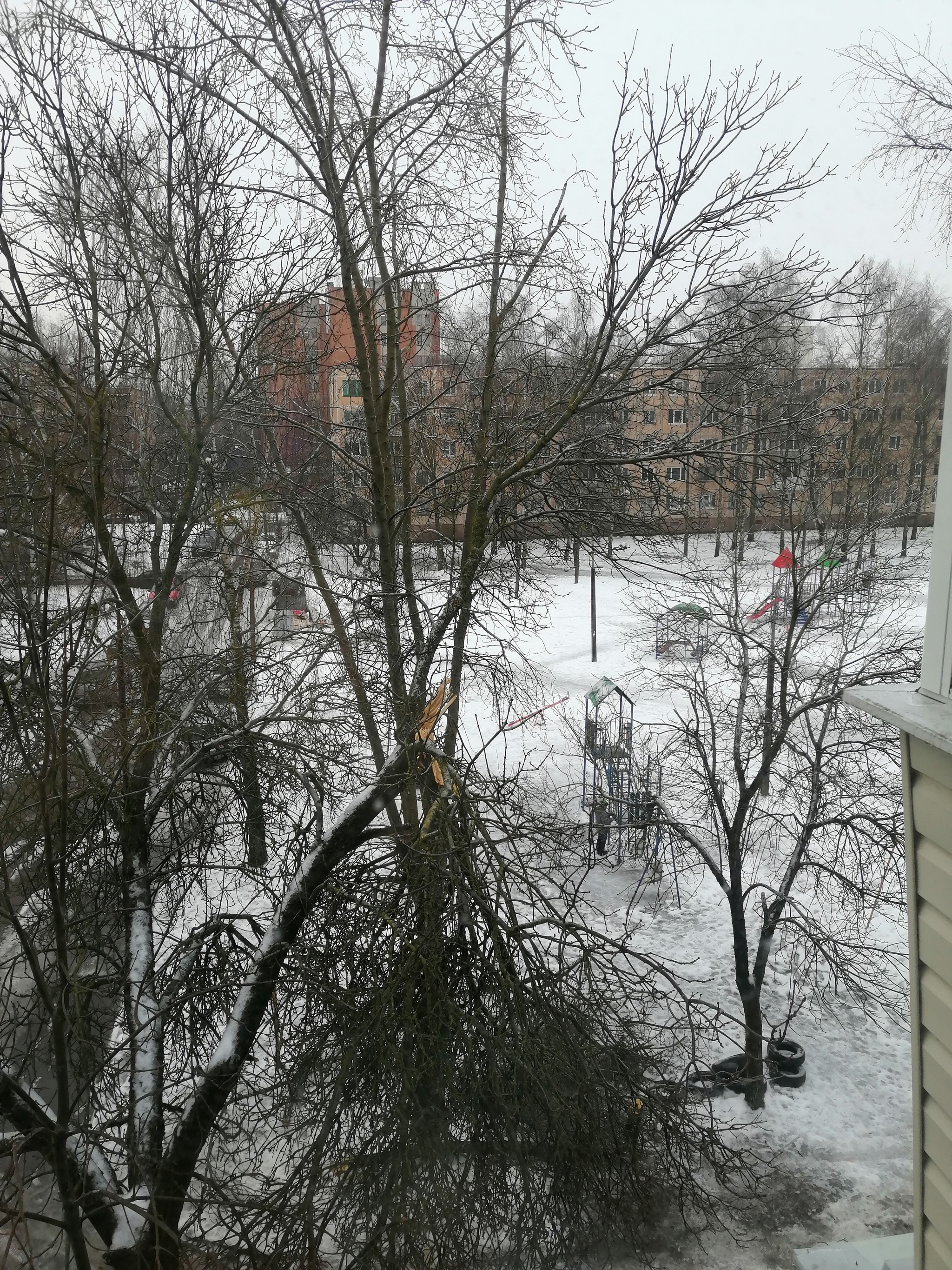 Consequences of freezing rain in Vitebsk - My, Vitebsk, Bad weather, Longpost