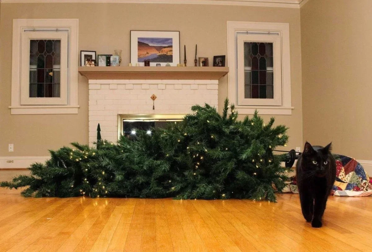 Why do cats love to cut down Christmas trees so much? - cat, Christmas tree, Yandex Zen, Animals, Longpost