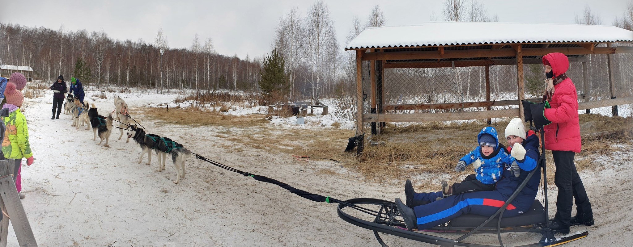 Gene Laboratory named after. Google - My, Husky, Панорама