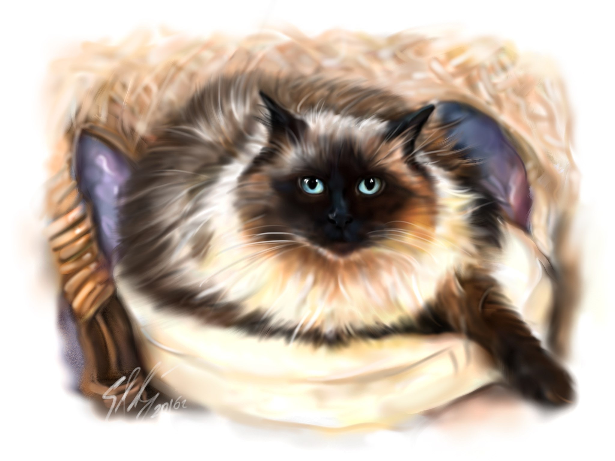 Finger on tablet - My, cat, Art, Digital drawing, Beautiful girl, Tricolor cat, Animals, iPad, Longpost