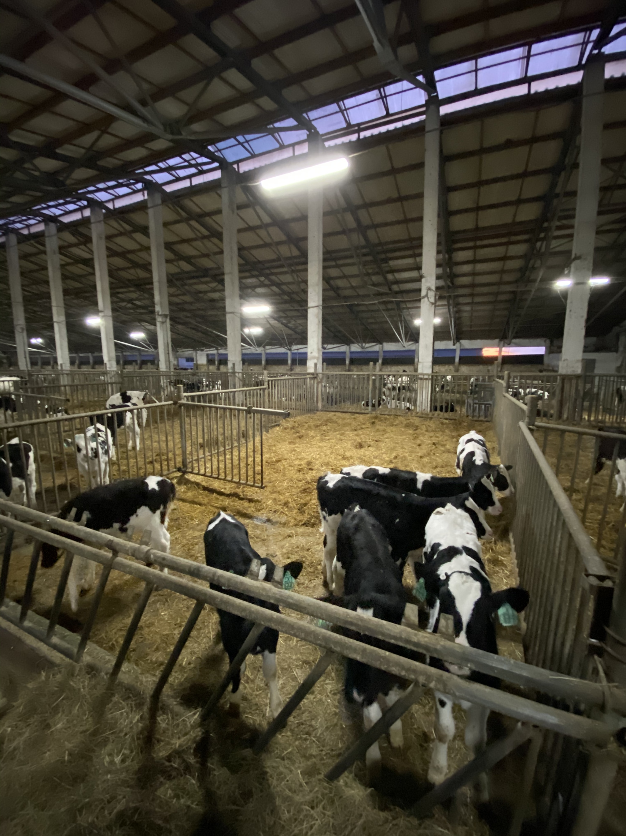 Happy New Year, agricultural workers! - Сельское хозяйство, New Year, Congratulation