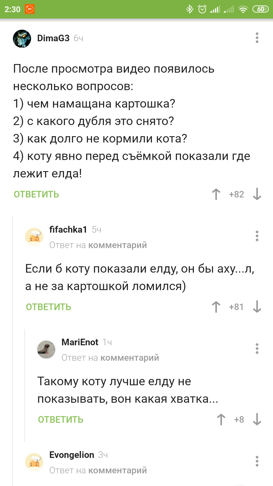 О силе опечаток - Кот, Скриншот, Опечатка, Комментарии на Пикабу