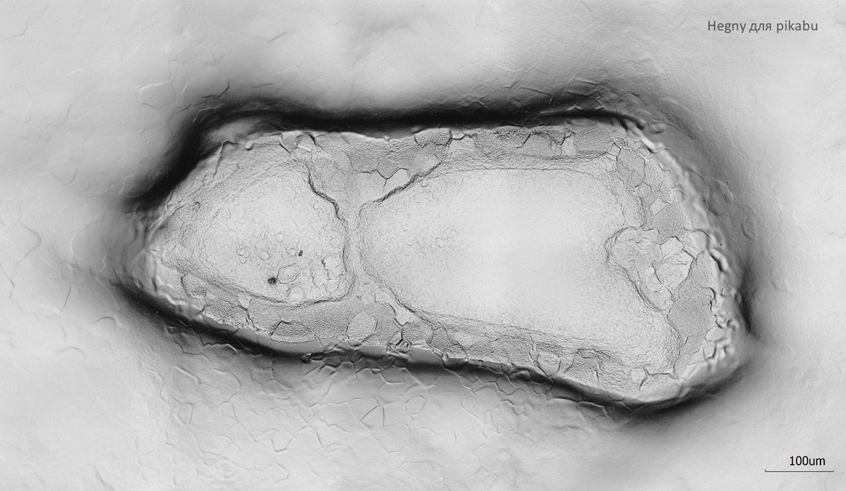 Dentistry and superconductivity for a scientific photo competition - My, Scientific photo contest, The science, Physics, Microscope, Accelerator, Laser, Superconductors, Images, Longpost