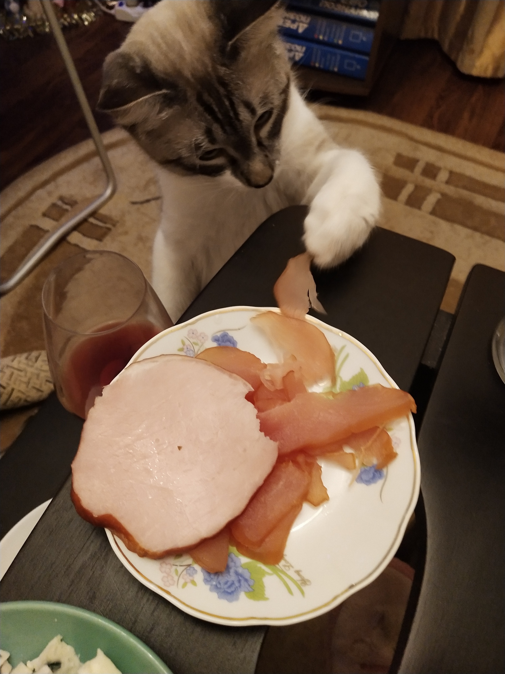 The story of the missing carpaccio - My, cat, Festive table, New Year, Longpost