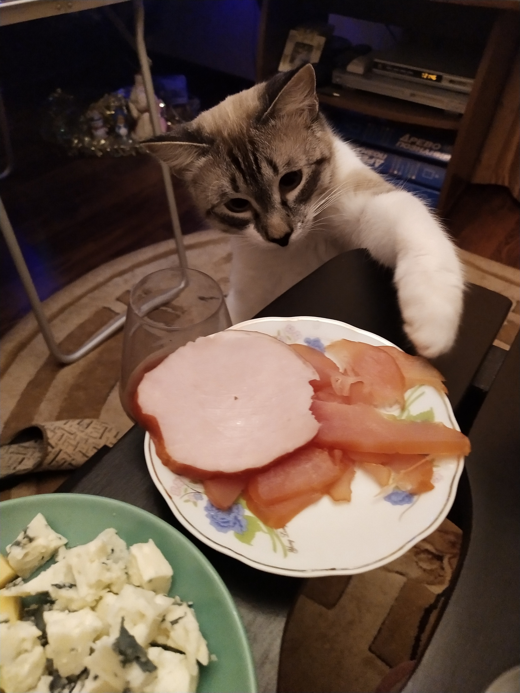 The story of the missing carpaccio - My, cat, Festive table, New Year, Longpost