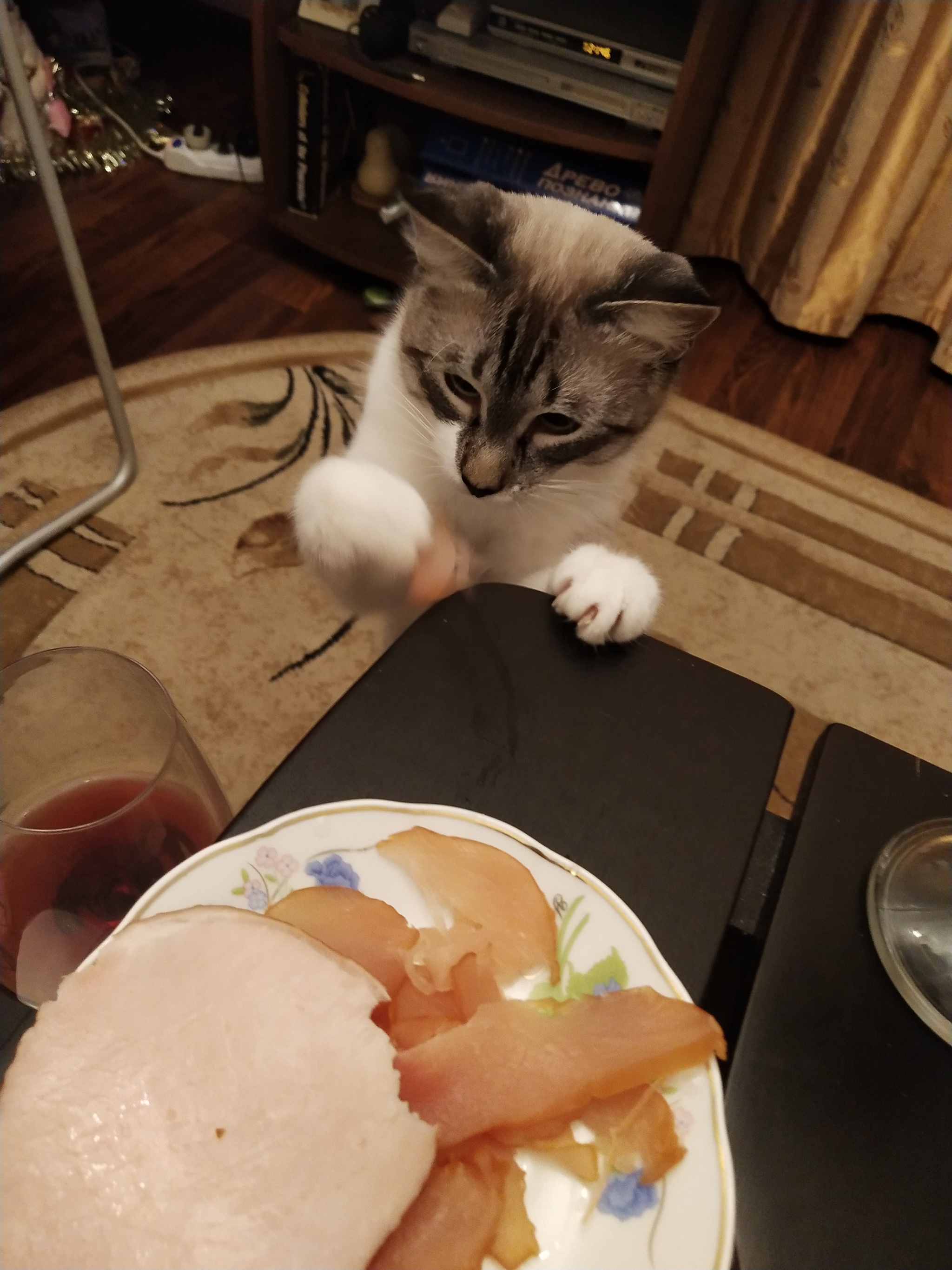 The story of the missing carpaccio - My, cat, Festive table, New Year, Longpost