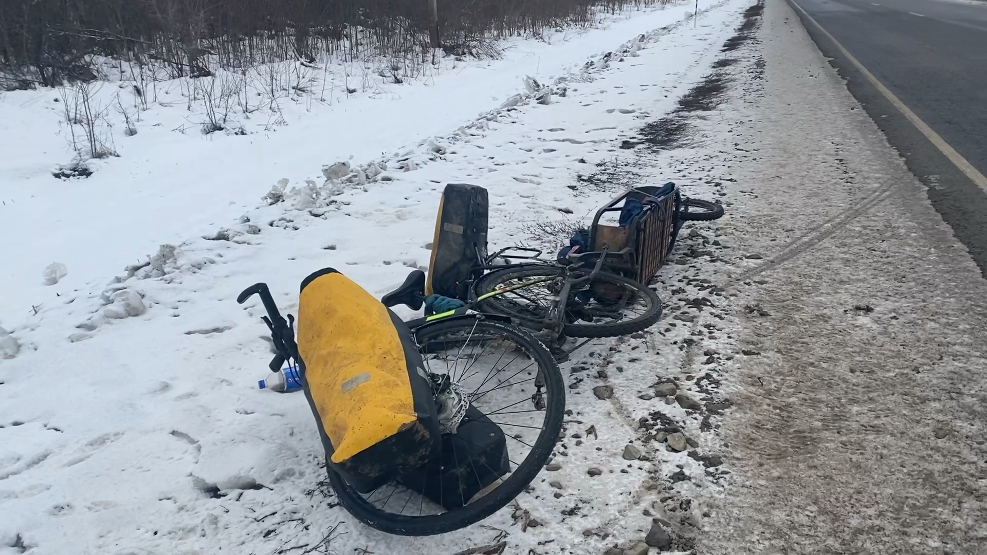 In Sochi, to the Black Sea on a bicycle with a dog - My, A bike, Travels, Sochi, Dog, Winter, Longpost, Gomel