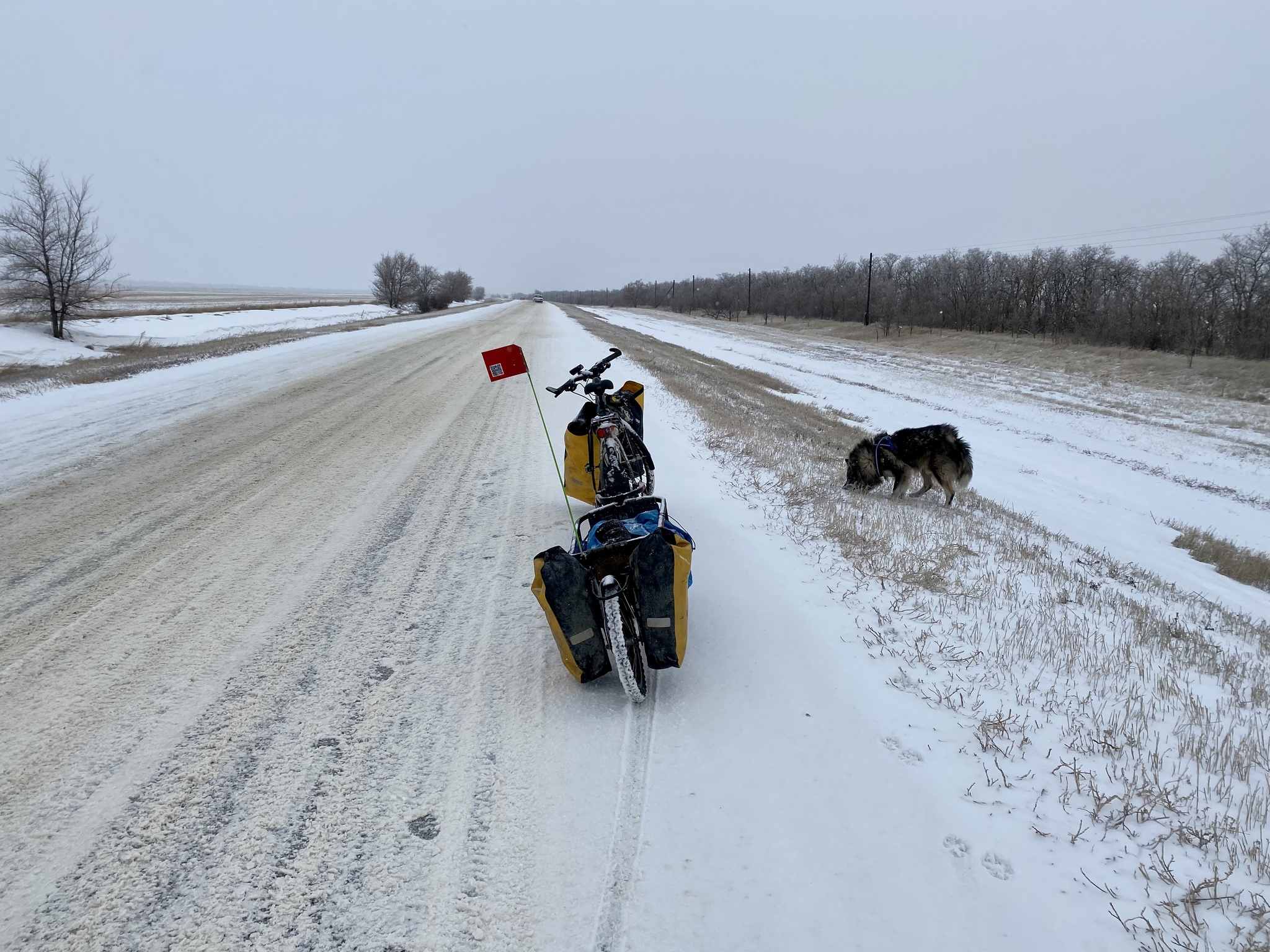 In Sochi, to the Black Sea on a bicycle with a dog - My, A bike, Travels, Sochi, Dog, Winter, Longpost, Gomel