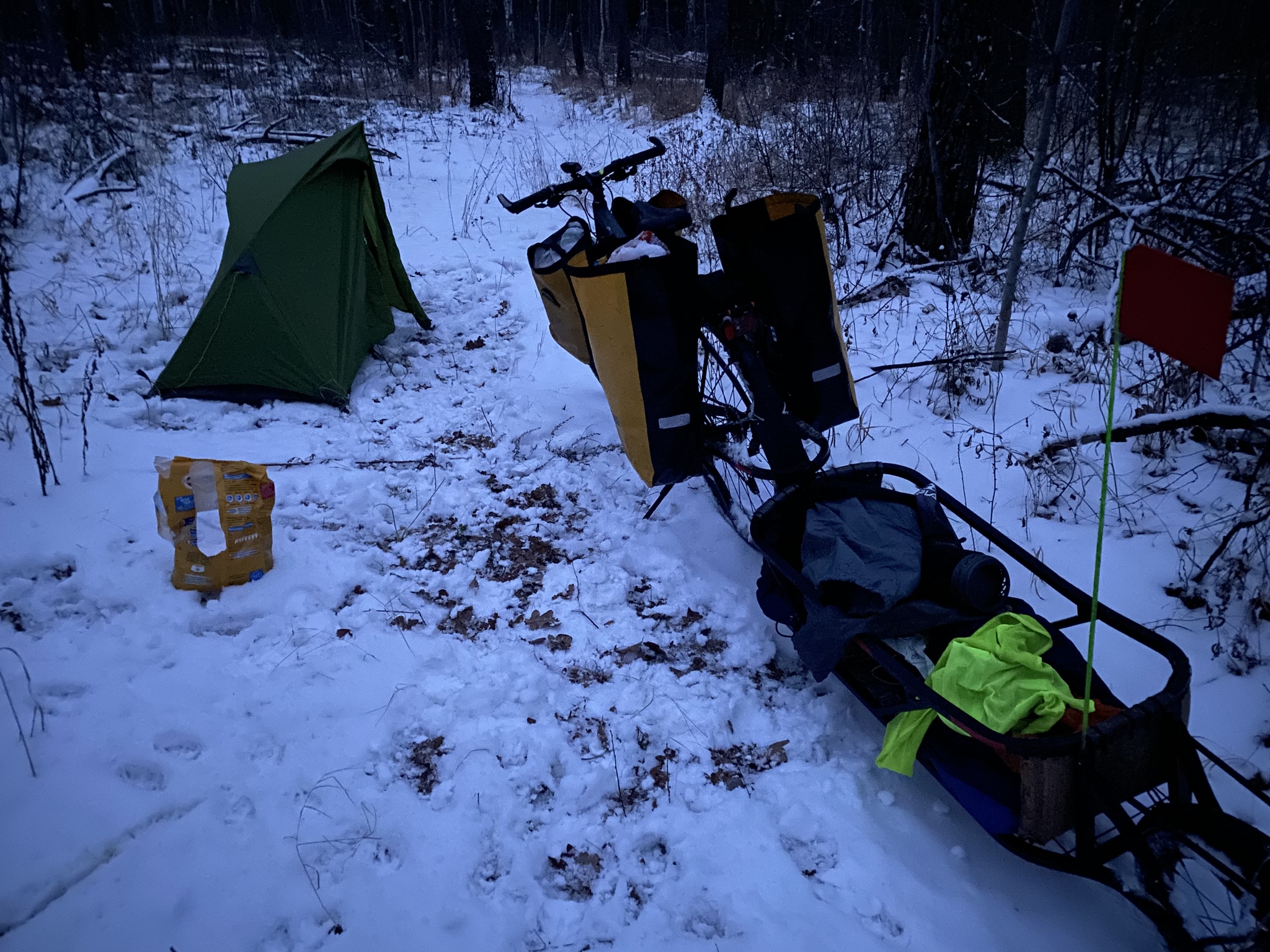 In Sochi, to the Black Sea on a bicycle with a dog - My, A bike, Travels, Sochi, Dog, Winter, Longpost, Gomel