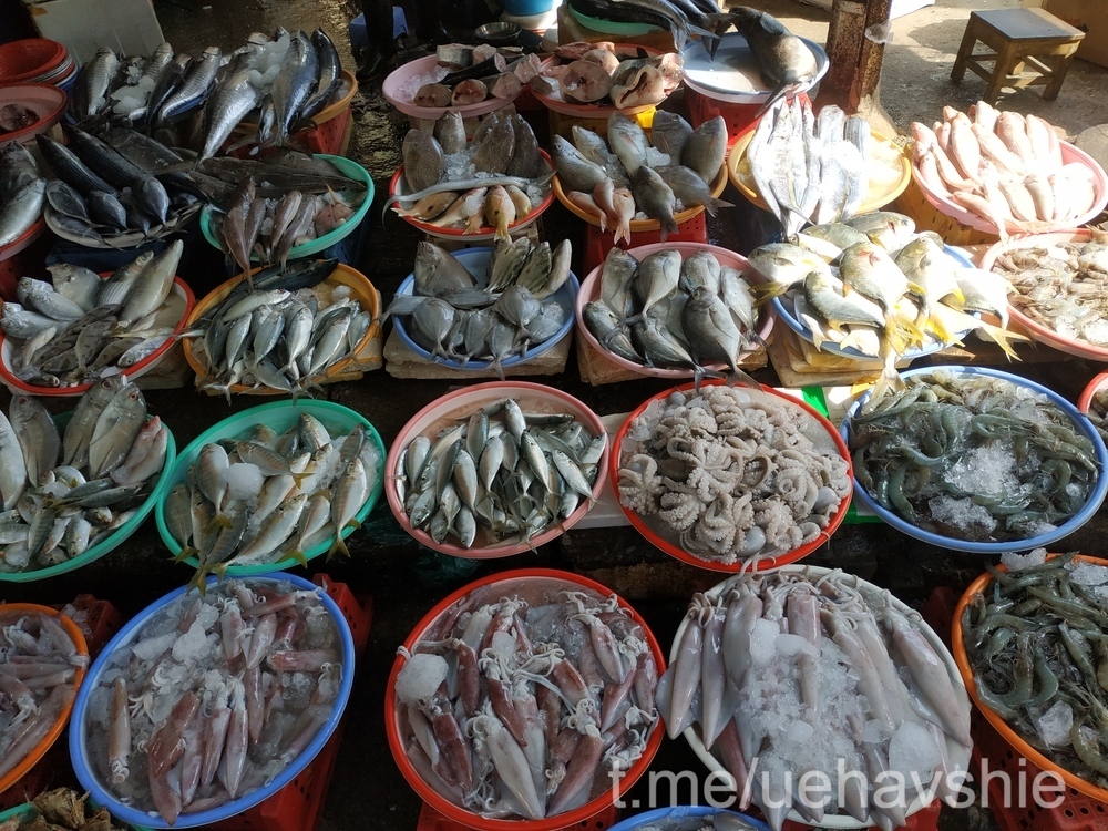 Traveling around Asia - part 2 - Two months in Vietnam - Nha Trang, Dalat, Phu Quoc - impressions and photos - My, Travels, Travelers, Budget travel, Asia, Southeast Asia, Vietnam, Vietnamese, Podcast, Asians, Nha Trang, Dalat, Market, The culture, Traditions, A train, Waterfall, Longpost