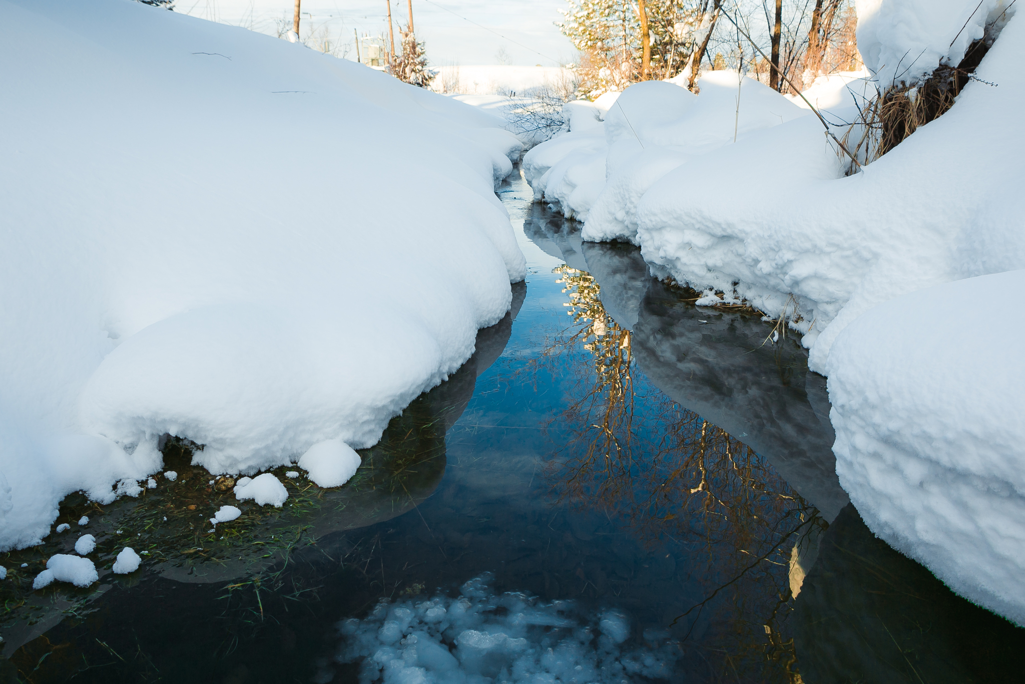 Winter holidays on Baikal | Mamai in December | part 1 - My, Baikal, Winter, Relaxation, cat, Mamai, Khamar-Daban, Snow, Forest, Nature, The mountains, The photo, Mood, Emotions, Video, Longpost