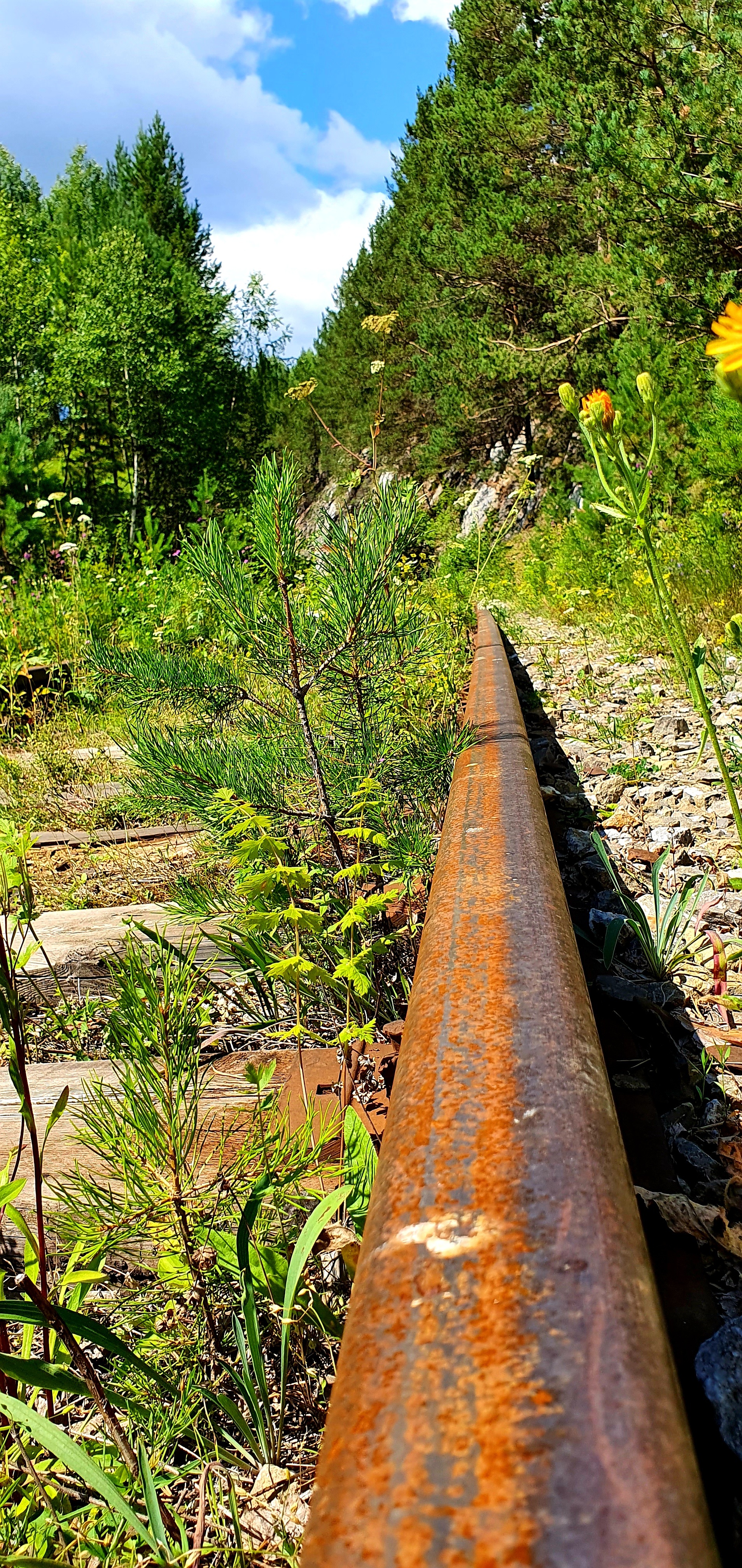 Abandoned railway in Salair - My, Railway, Abandoned, Salair, Longpost, The rocks