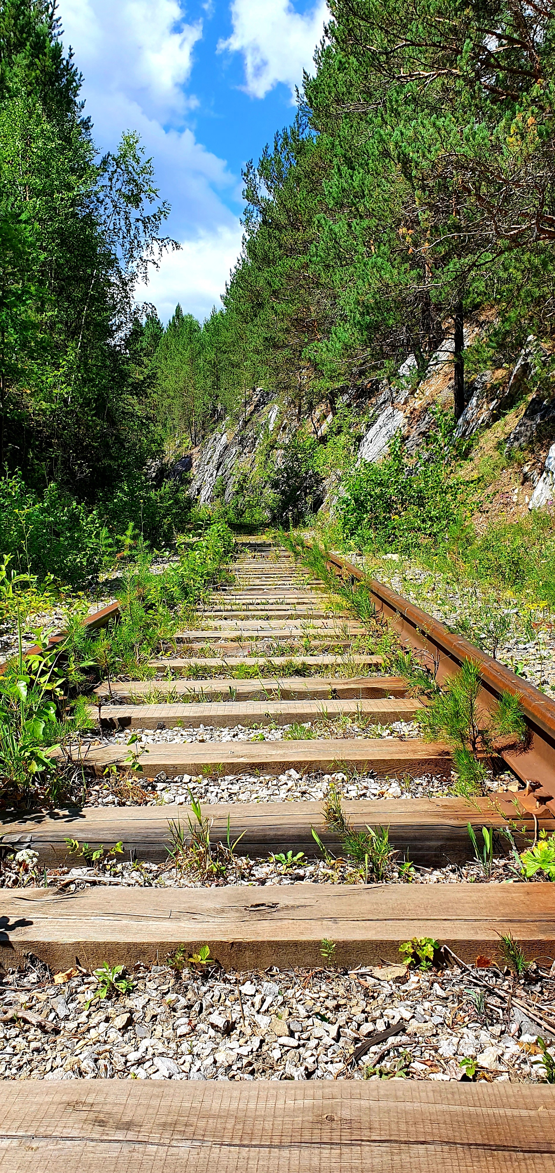 Abandoned railway in Salair - My, Railway, Abandoned, Salair, Longpost, The rocks