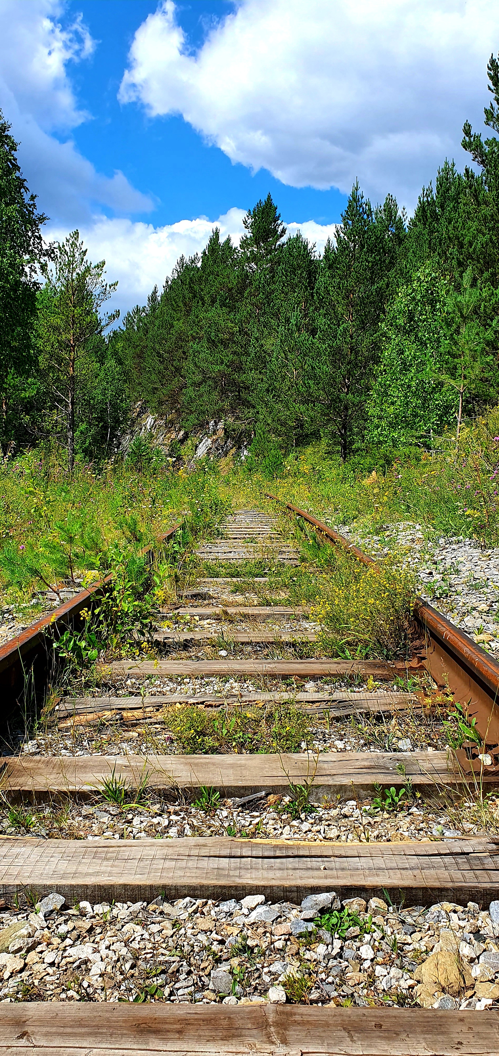 Abandoned railway in Salair - My, Railway, Abandoned, Salair, Longpost, The rocks