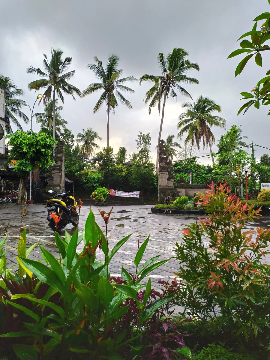 Holidays in Bali. A look from the inside - My, Bali, Indonesia, Vacation, Longpost