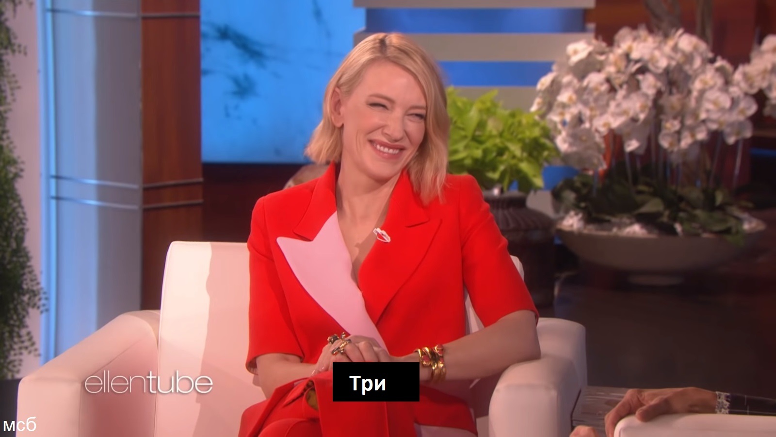 Let the kids swim - Cate Blanchett, Actors and actresses, Celebrities, Storyboard, Ellen DeGeneres, The Ellen DeGeneres Show, Children, Humor, Australia, Longpost, Crab, Bathing