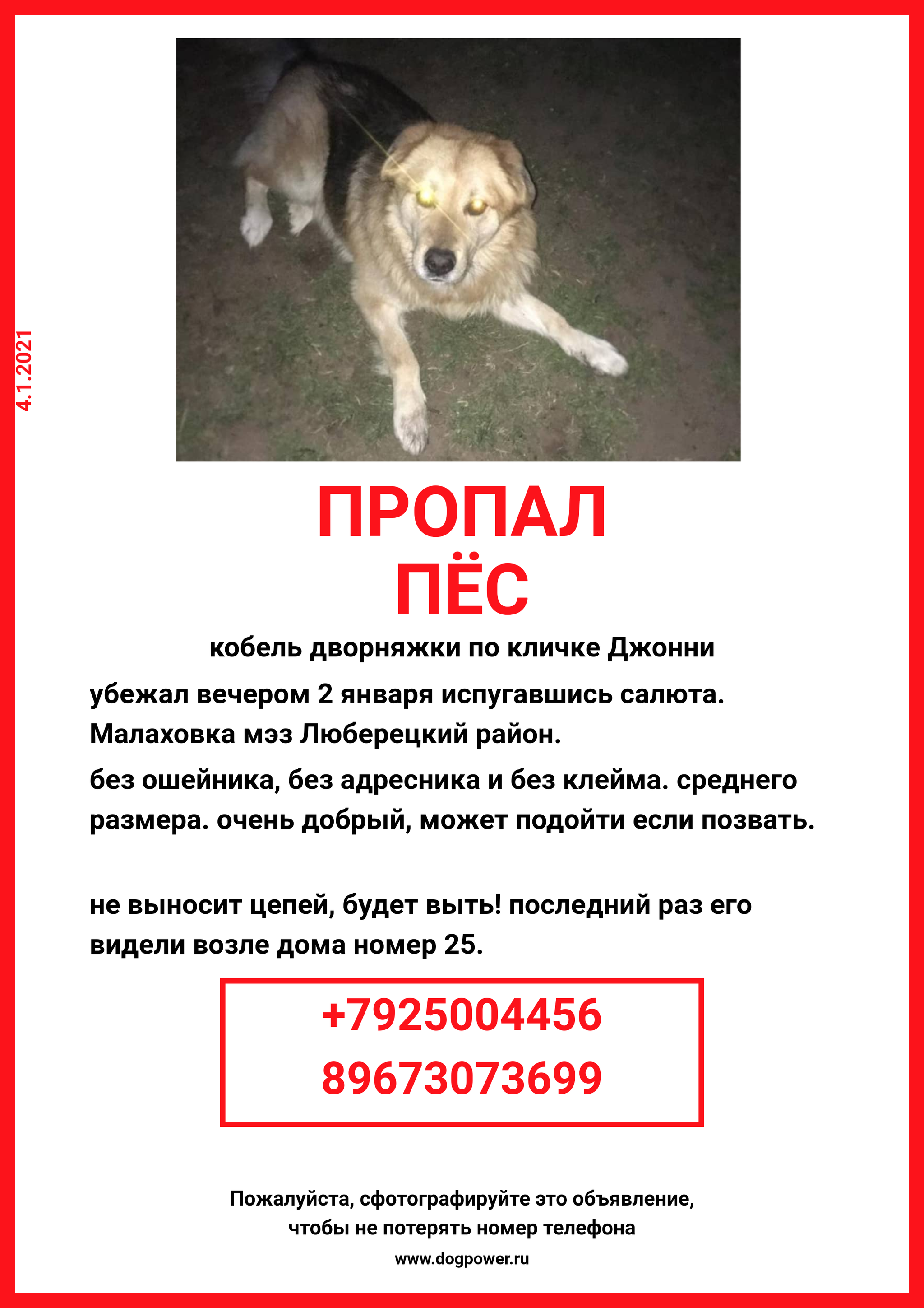 Help me find the dog - My, The dog is missing, Longpost, Dog, Malakhovka, Lyubertsy District, Moscow region, No rating