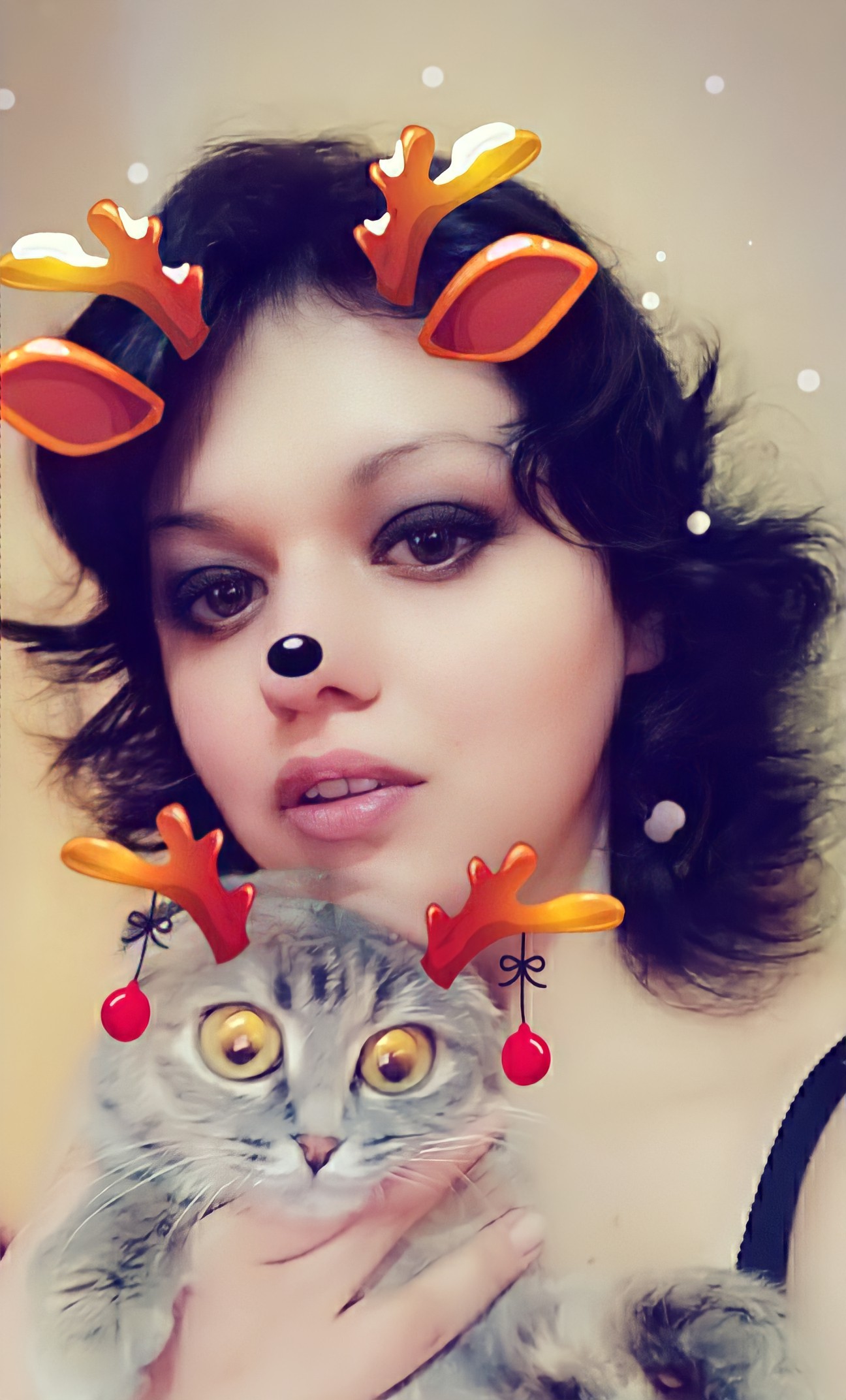 Snapchat and cats) - My, cat, Snapchat, Longpost, No rating