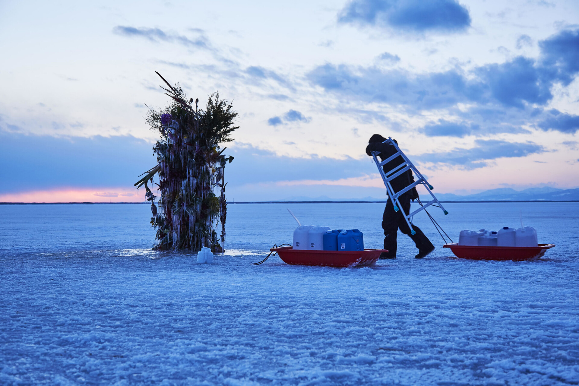 Frozen Flowers by Makoto Azuma - The photo, Flowers, Japan, Installation, Ice, Ice sculpture, Modern Art, Longpost