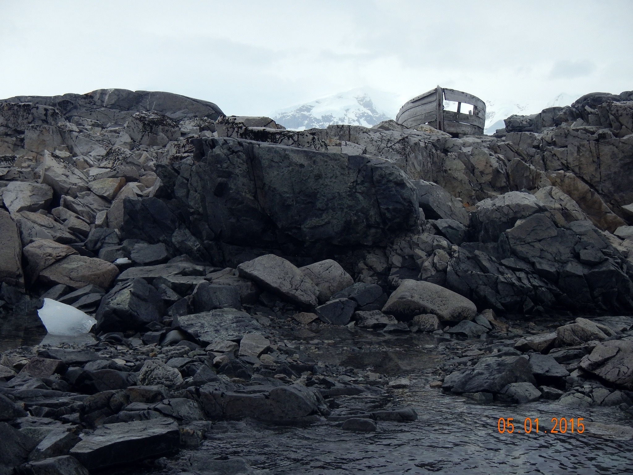 Continuation of the post “Argentina and Antarctica” - Argentina, National park, Travels, Antarctica, Tierra del Fuego, Wild animals, Reply to post, Longpost