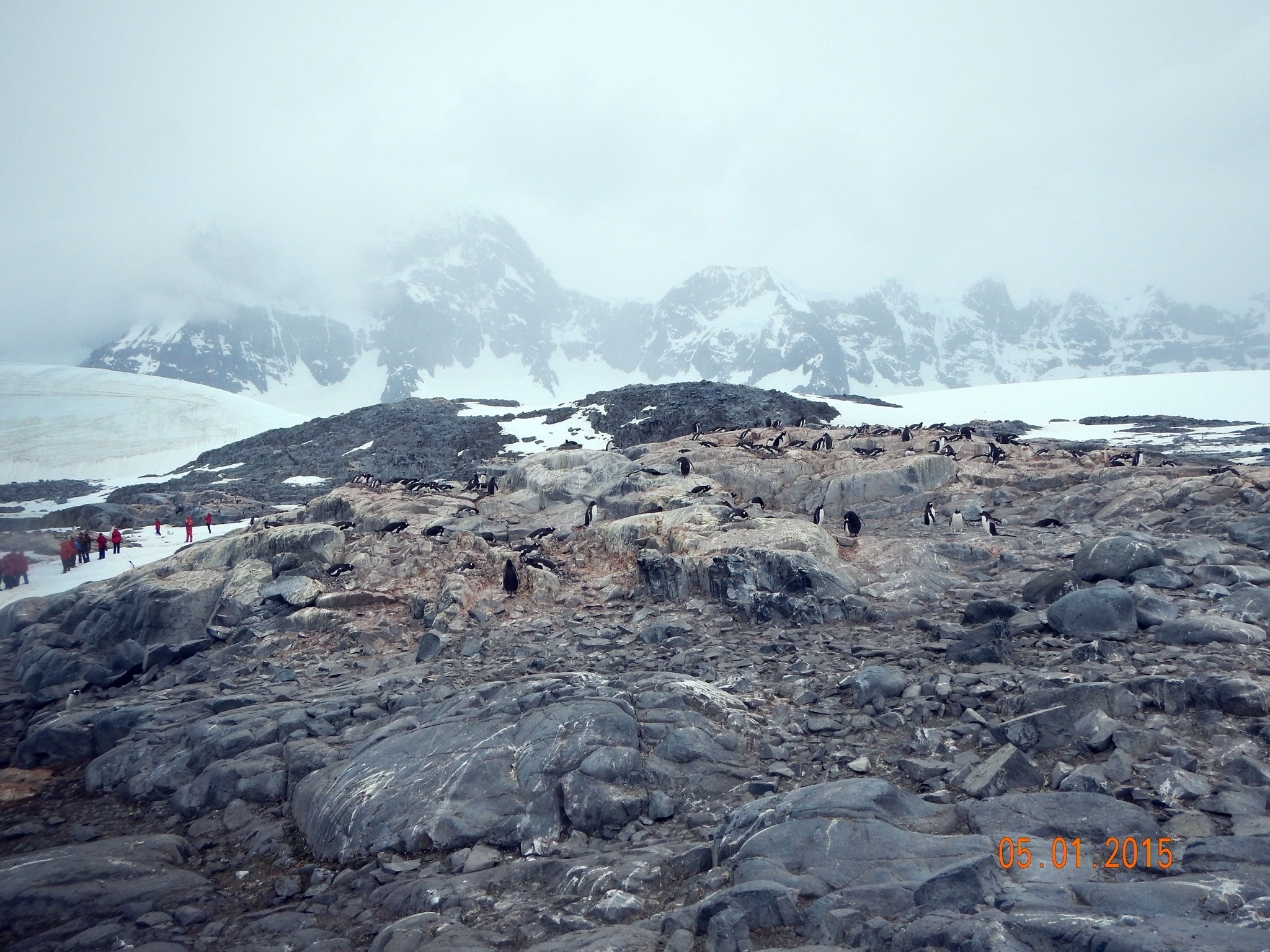 Continuation of the post “Argentina and Antarctica” - Argentina, National park, Travels, Antarctica, Tierra del Fuego, Wild animals, Reply to post, Longpost