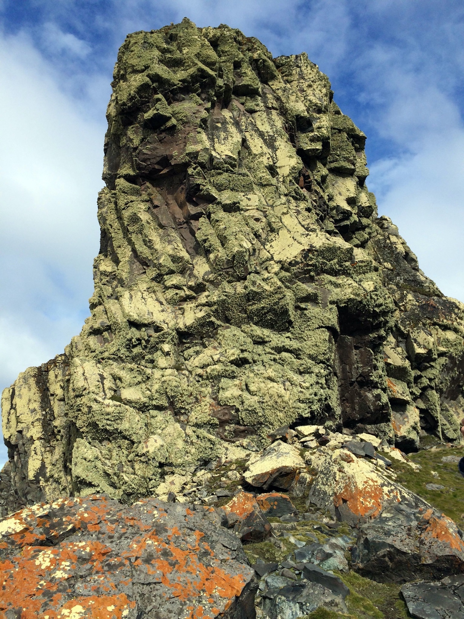 Continuation of the post “Argentina and Antarctica” - Argentina, National park, Travels, Antarctica, Tierra del Fuego, Wild animals, Reply to post, Longpost