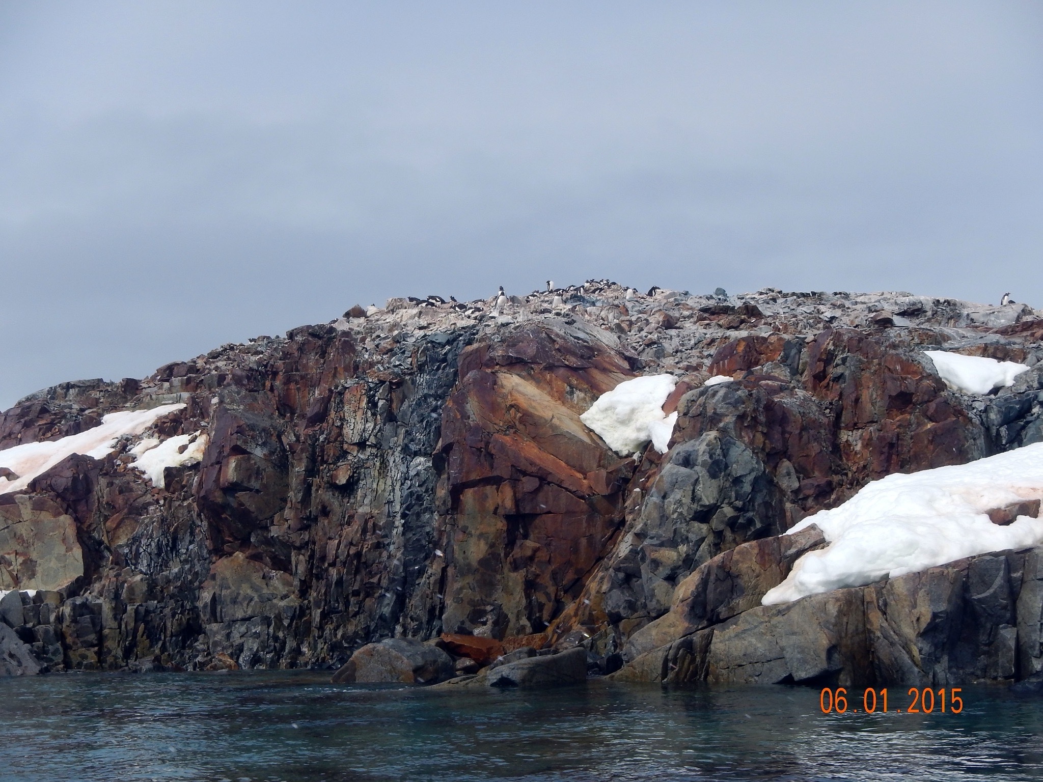 Continuation of the post “Argentina and Antarctica” - Argentina, National park, Travels, Antarctica, Tierra del Fuego, Wild animals, Reply to post, Longpost