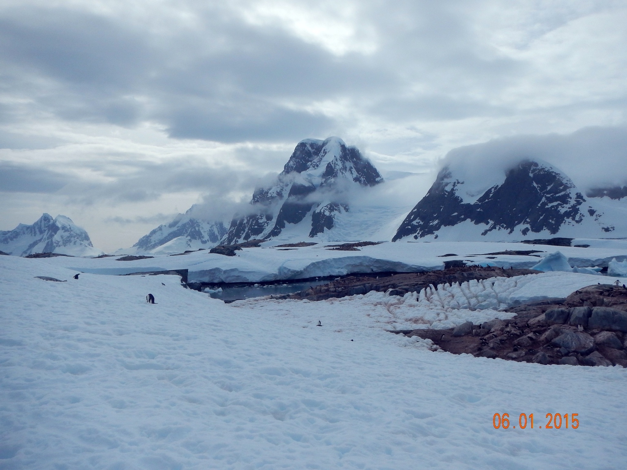 Continuation of the post “Argentina and Antarctica” - Argentina, National park, Travels, Antarctica, Tierra del Fuego, Wild animals, Reply to post, Longpost