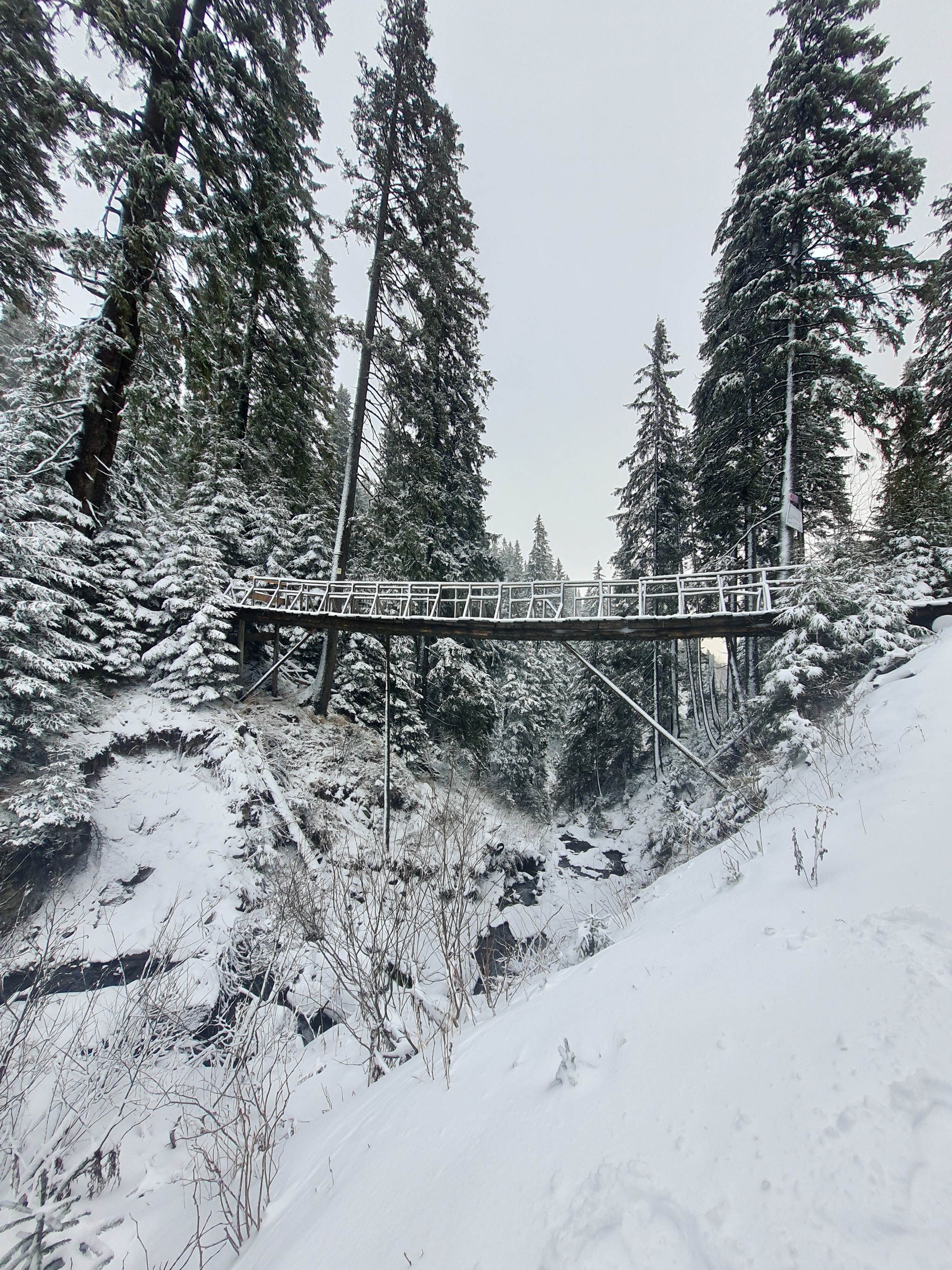 Ukrainian Carpathians - The photo, Nature, Carpathians, The mountains, Snow, Longpost