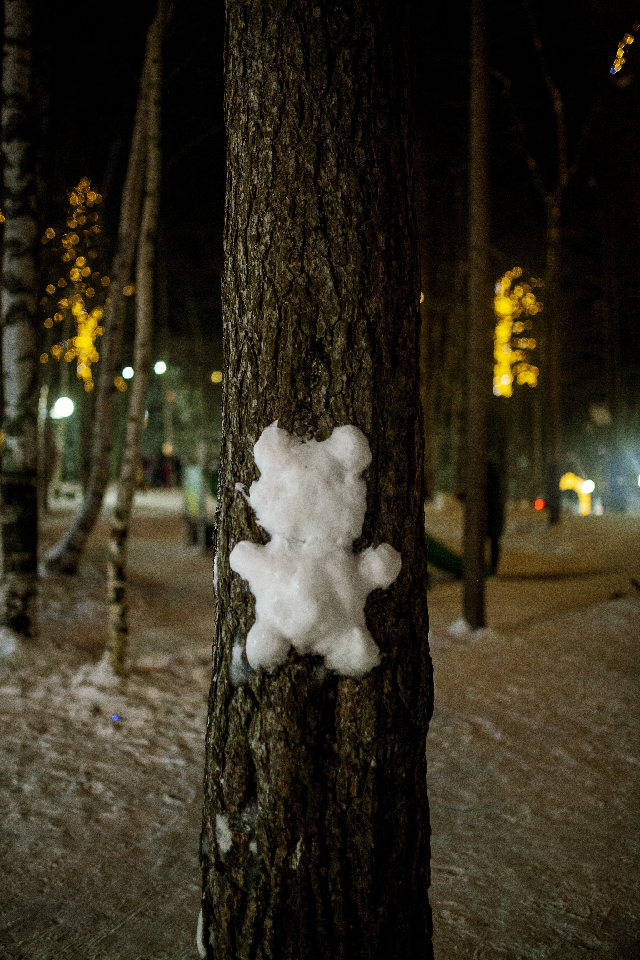 Failure to comply with the speed limit - My, Beginning photographer, The photo, Winter, Apatity