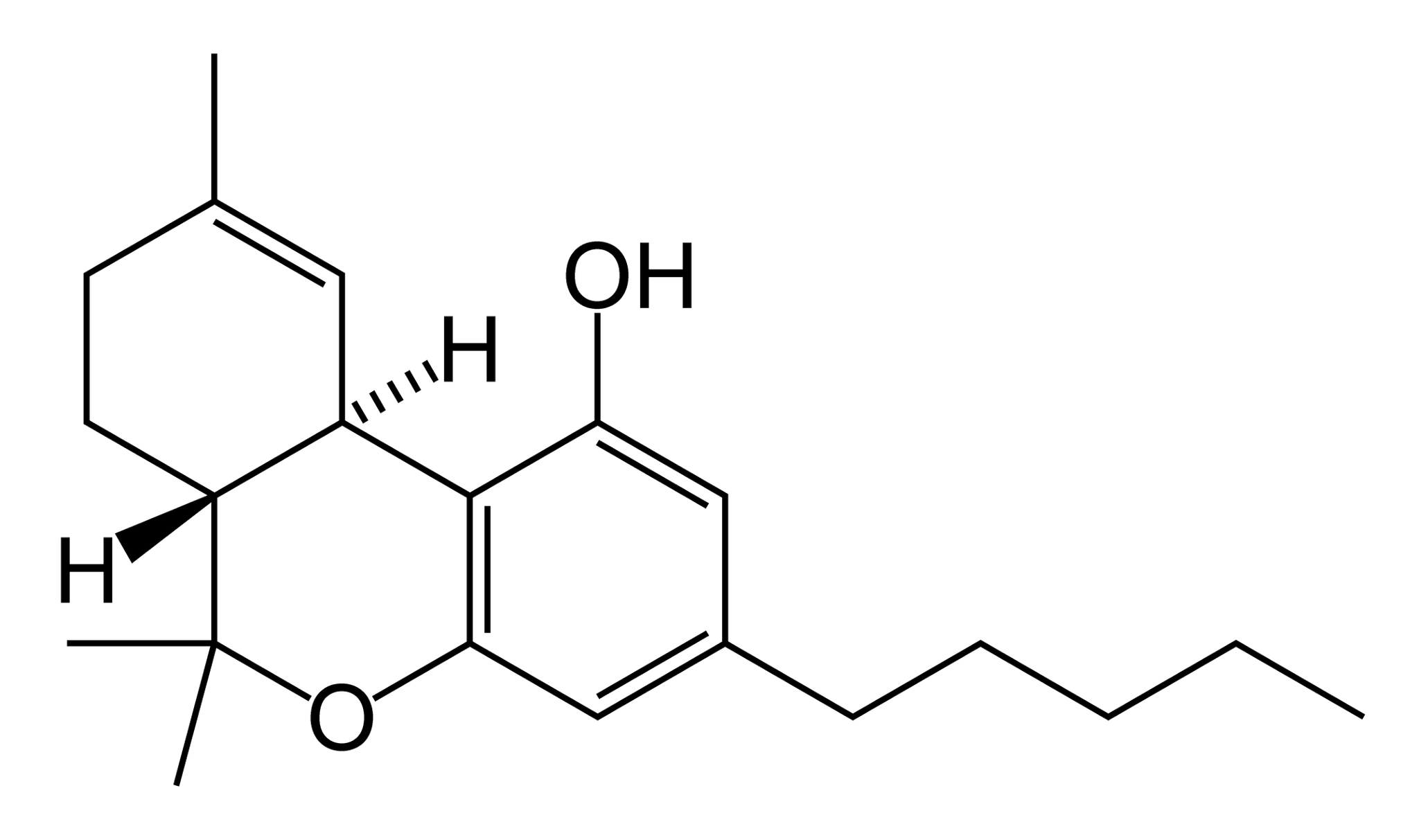 The 5 most ancient drugs. What did Stone Age people do? - My, The science, Story, Chemistry, Biology, Drugs, Stone Age, Plants, Hallucinogens, Mescaline, Marijuana, Psilocybin, Betel, Lotus, Longpost