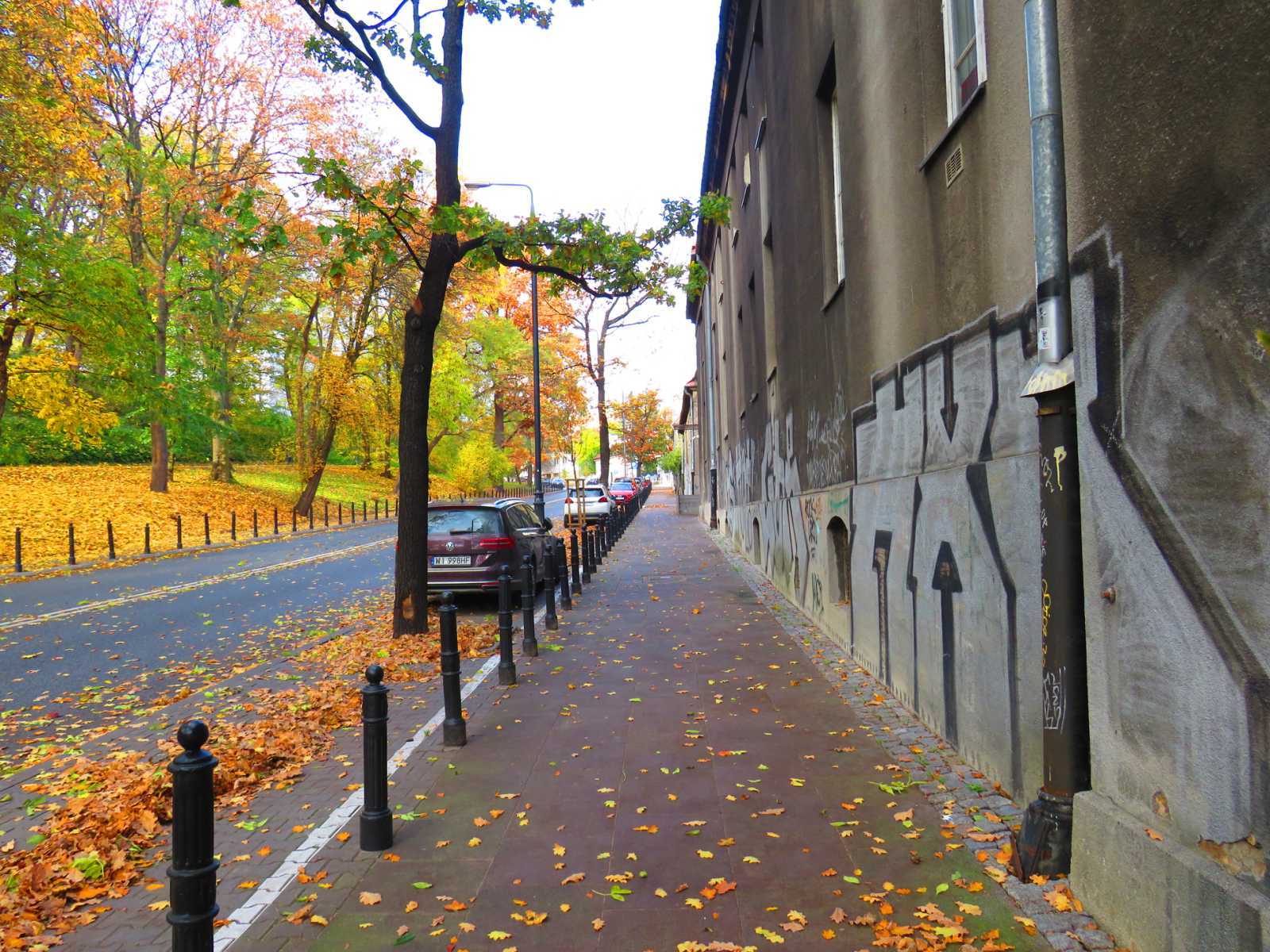 Autumn October - My, Poland, Autumn, The photo, Beginning photographer, Camera, Warsaw, King, The park, Autumn leaves