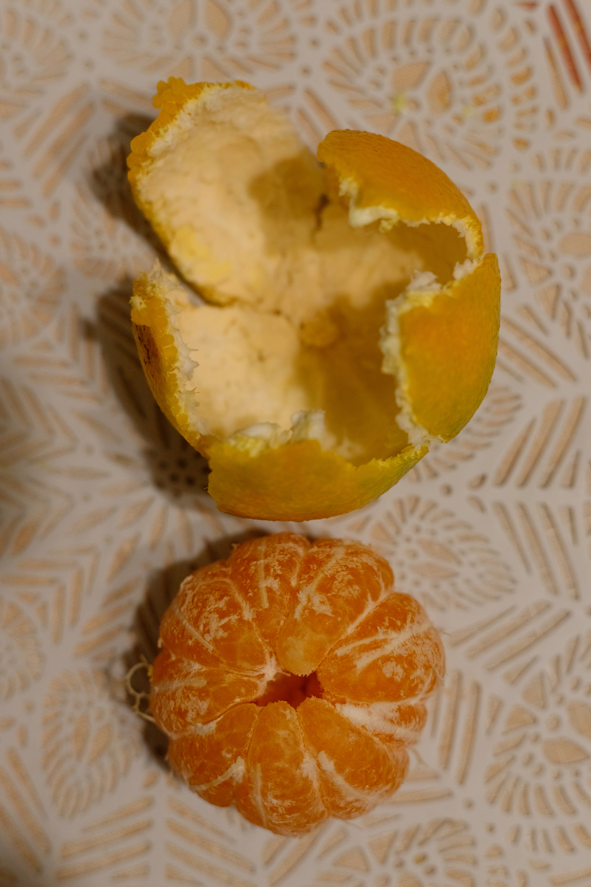 Continuation of the post “Oranges on the windowsill” - My, Vegetable garden on the windowsill, Citrus, Windowsill, The photo, Tangerines, Reply to post, Longpost