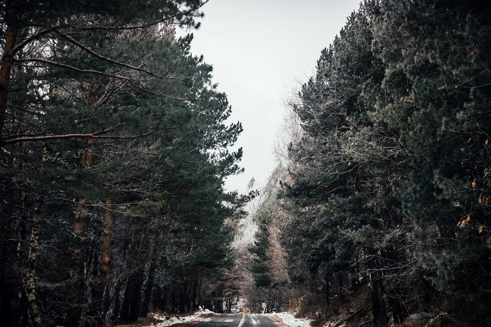 North Ossetia - My, Russia, North Ossetia Alania, Tourism, Travels, The photo, Landscape, Longpost