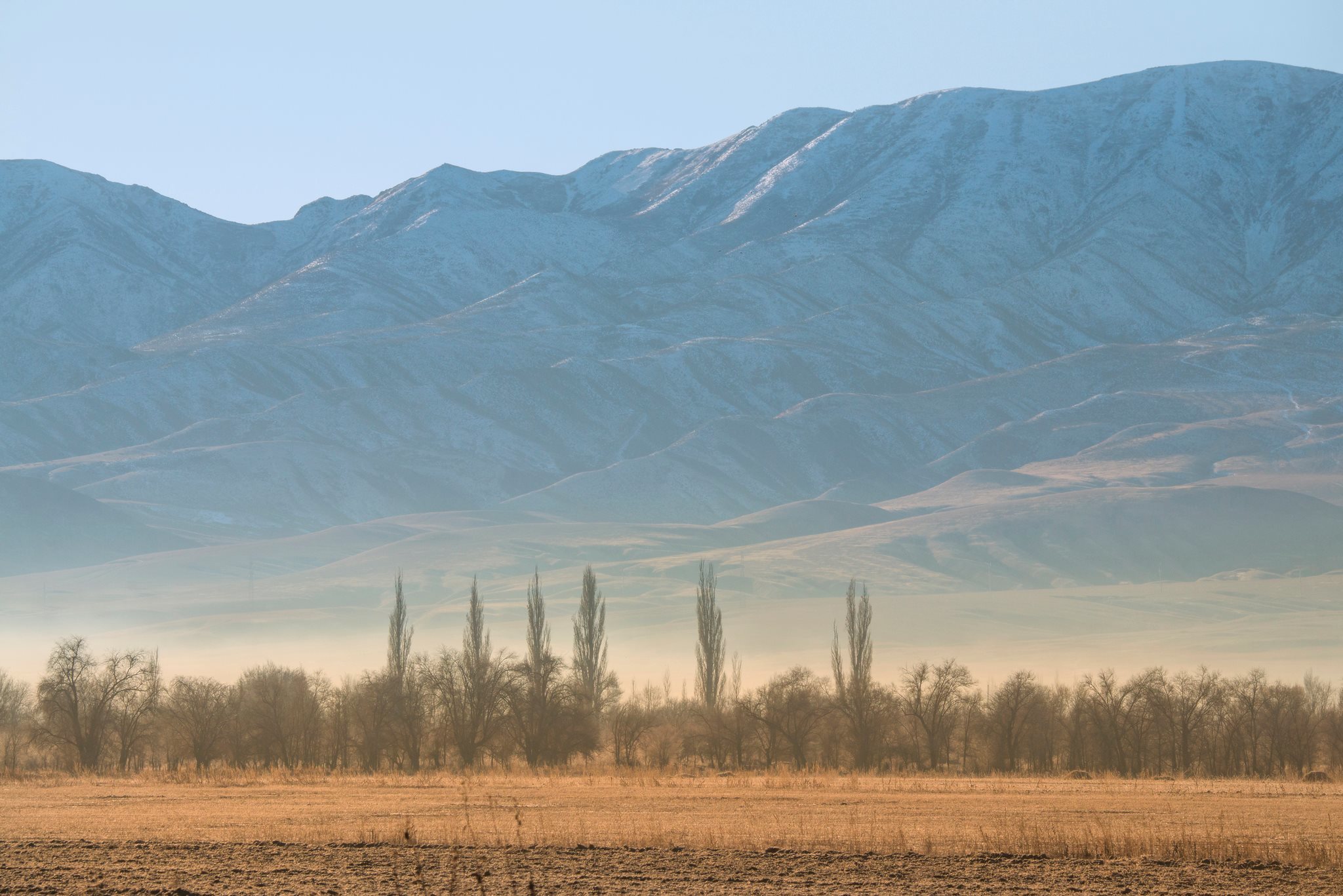 Journey from Siberians to Uzbeks - My, Travels, Uzbekistan, Kazakhstan, Impressions, Real life story, Story, Author's story, Longpost