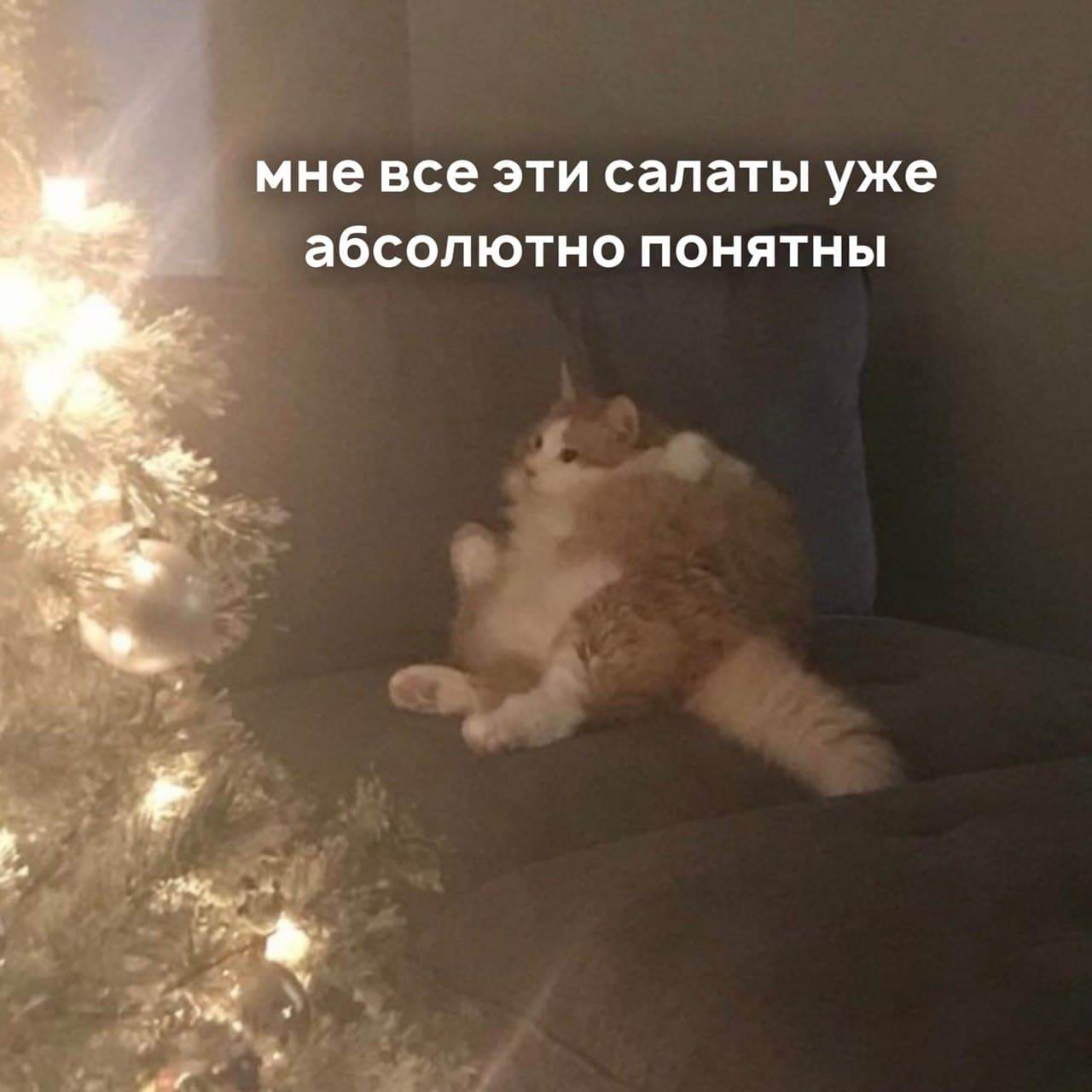 Salads - Picture with text, The photo, cat, Christmas tree, Salad, Food, Longpost, Going to the river