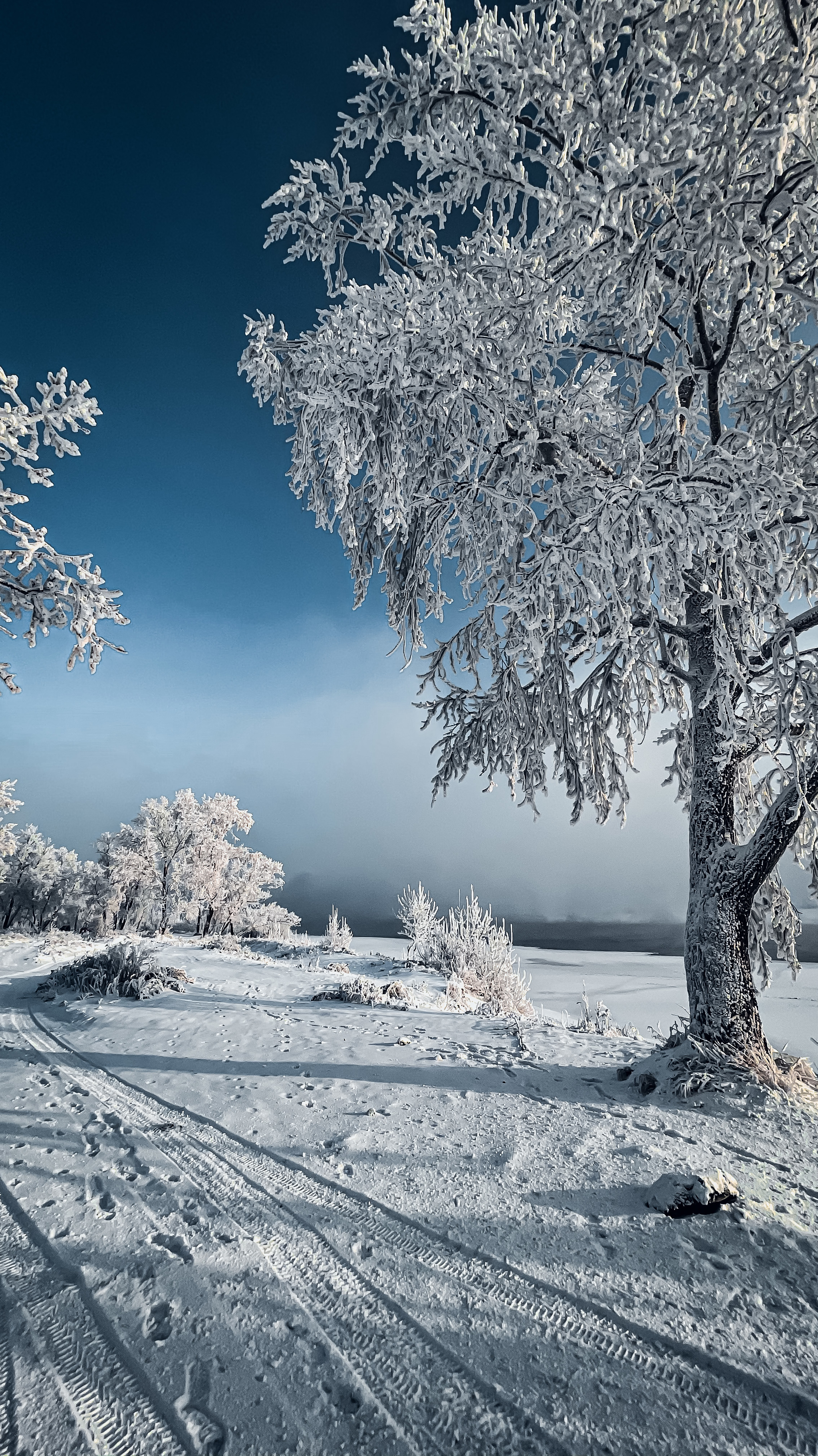 Siberia. Krasnoyarsk - My, Krasnoyarsk, Siberia, Longpost, Winter, The photo, Nature, Landscape