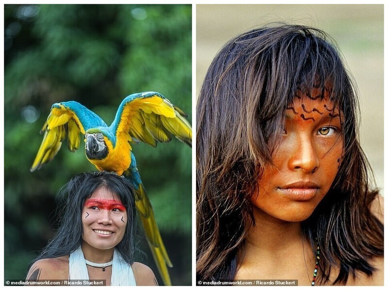 Guardians of the Amazon: how Brazil's indigenous tribes live today - Indians, Amazon, The photo, Nature, Longpost, Brazil, Aborigines, Ethnography