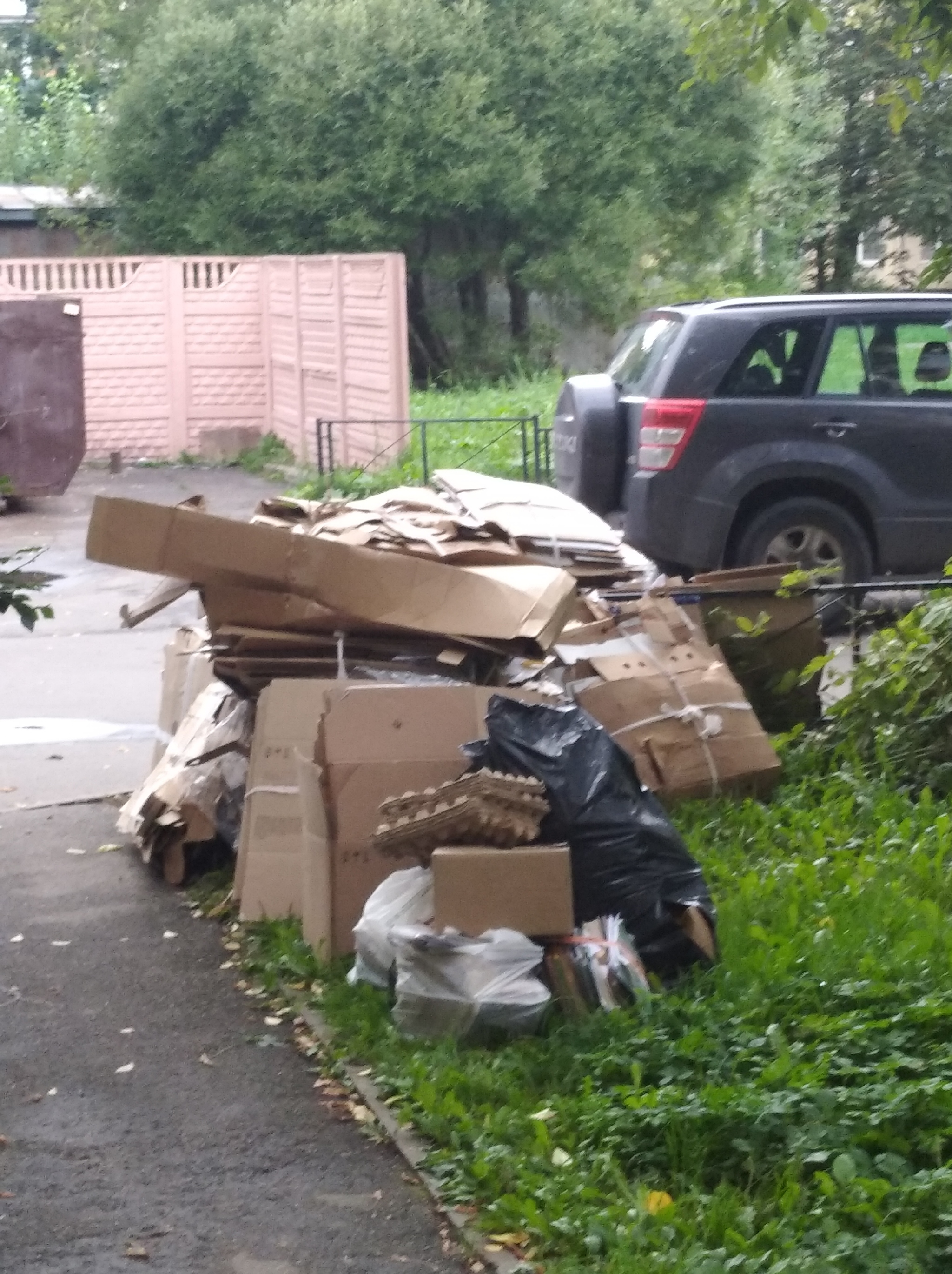 How housing and communal services workers breed cockroaches in the basement of a residential building - My, Waste recycling, Basement, Cockroaches, Saint Petersburg, Longpost, Mat, Garbage, Lcds, Negative