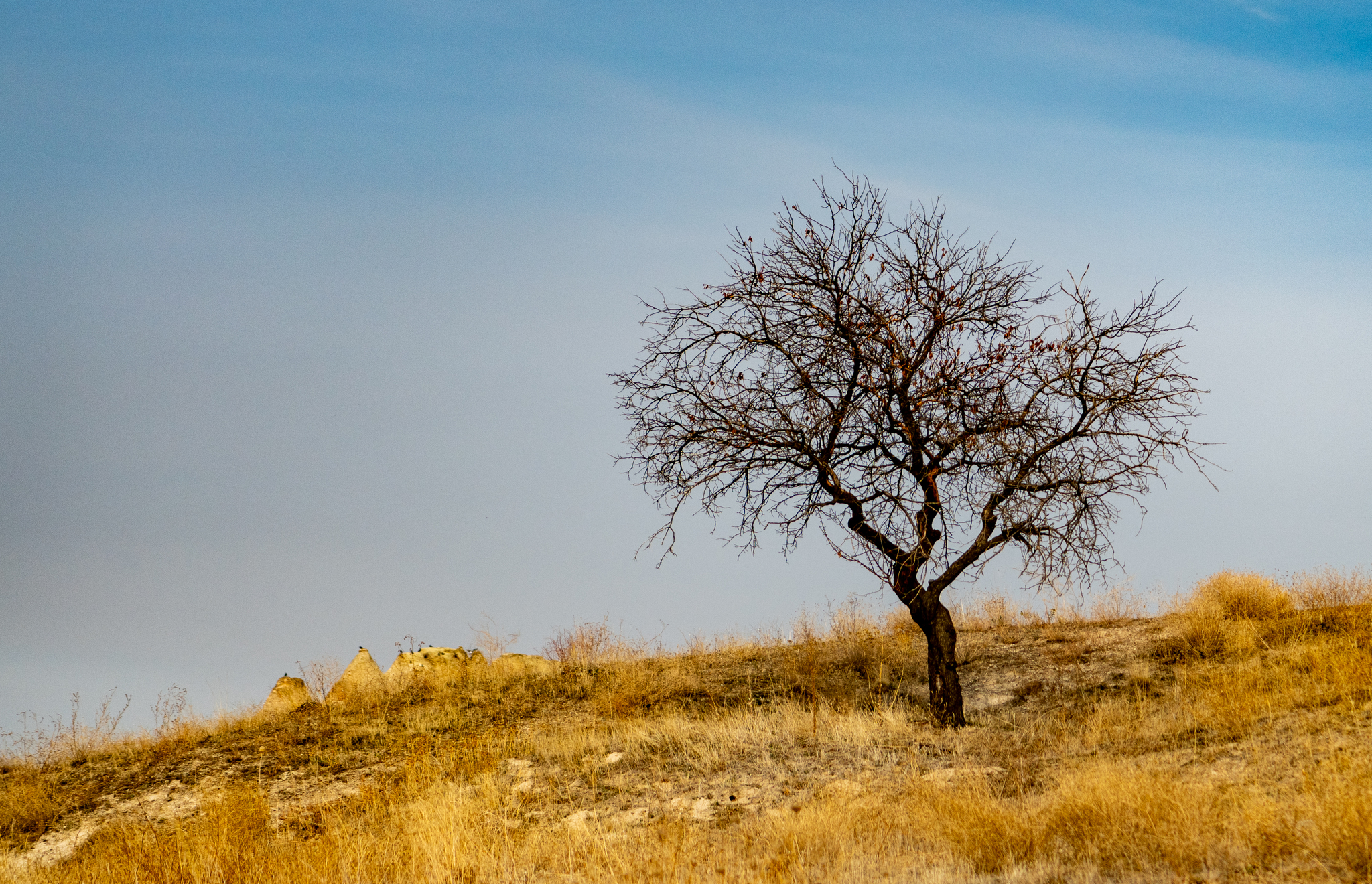 Cappadocia. Photo sketch - My, The photo, Turkey, Cappadocia, Travels, Longpost