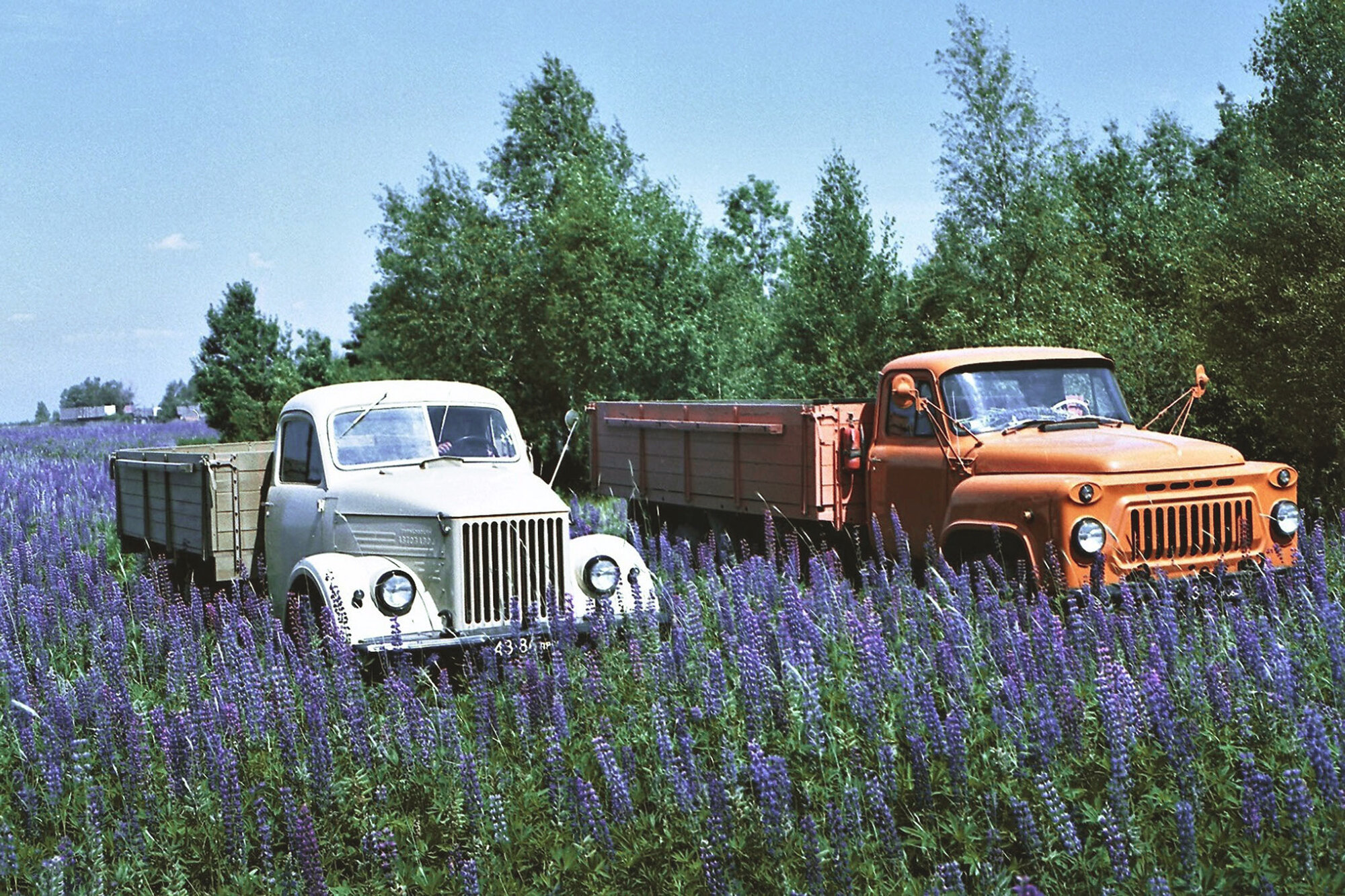 “30 years on the assembly line”: a hard-working truck from the USSR - My, Longpost, Auto, Domestic auto industry, Gaz-51, Gorky Automobile Plant, Story