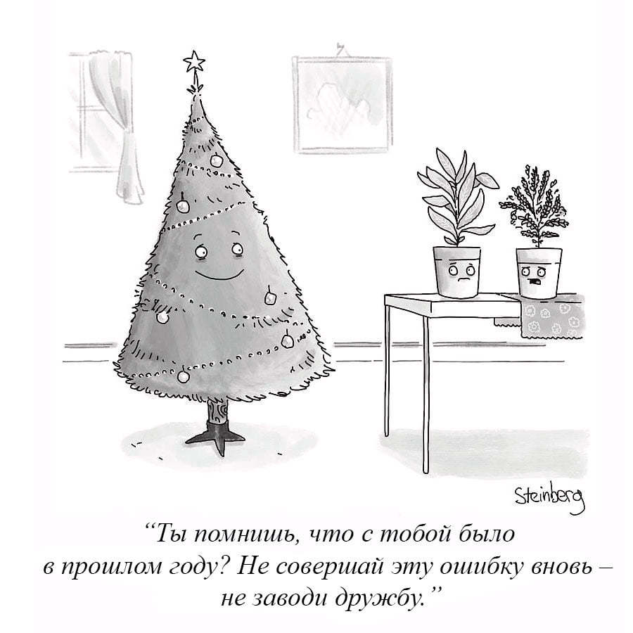 New Year's relationships are always fleeting - Comics, New Year, Christmas tree, Houseplants, Humor