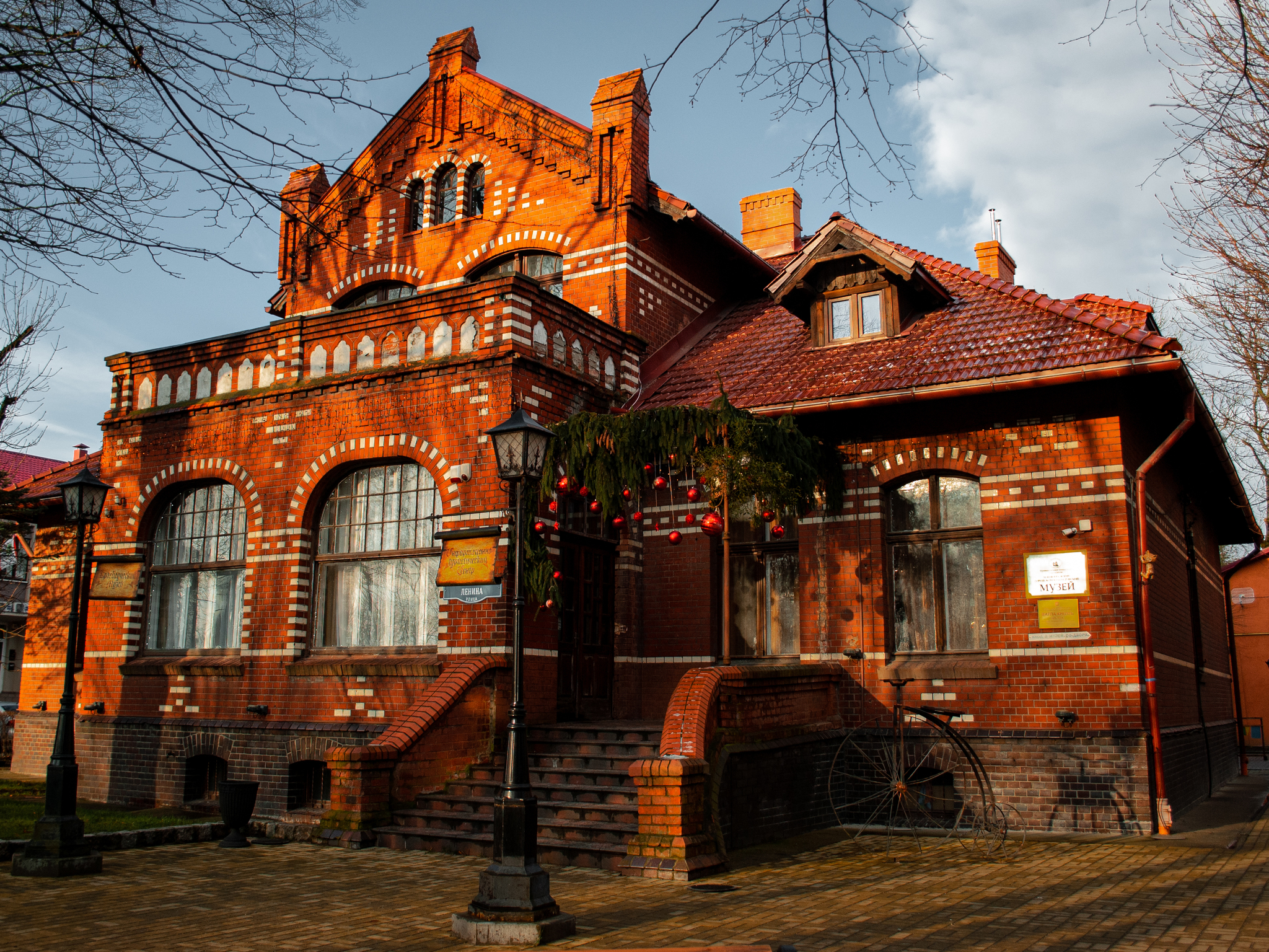 Walk around Zelenogradsk - My, The photo, Birds