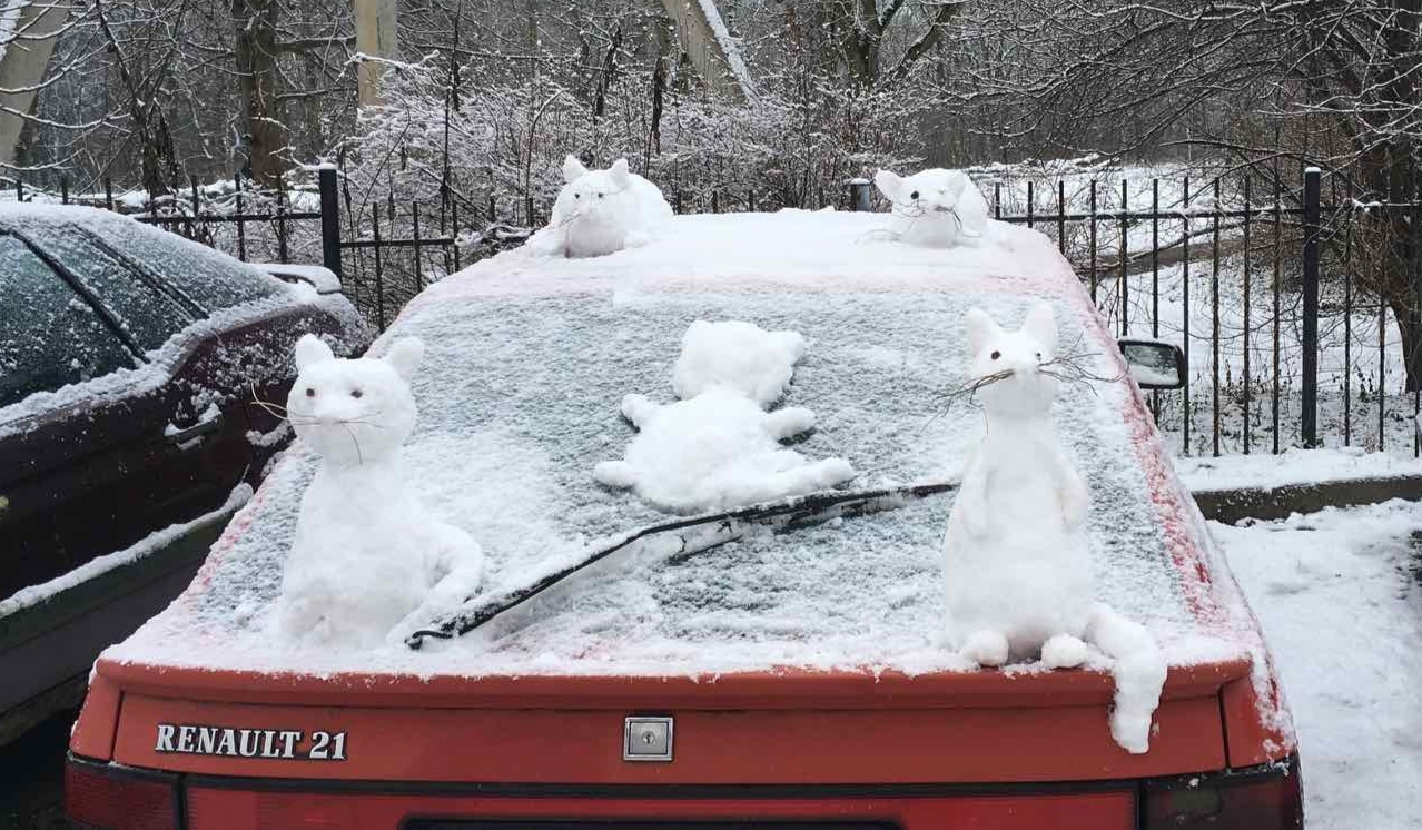 Natasha, this is not a Ferrari. Get out of there, Natasha. Natasha, we are all frozen - cat, Auto, Snow, Snow figures