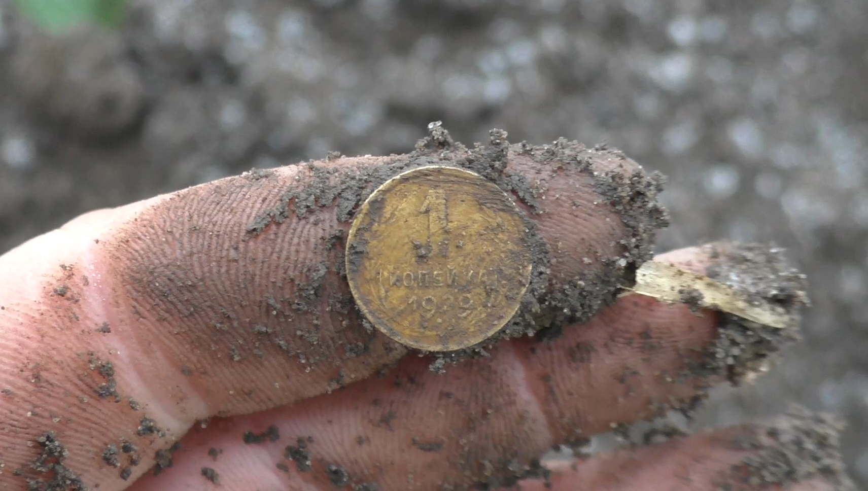 THE MILLER'S PARTICULAR CELLAR HAS BEEN OPENED! Searching for gold with a metal detector - My, Search, Gold, Find, Metal detector, Treasure hunt, Hobby, Travels, Video, Longpost