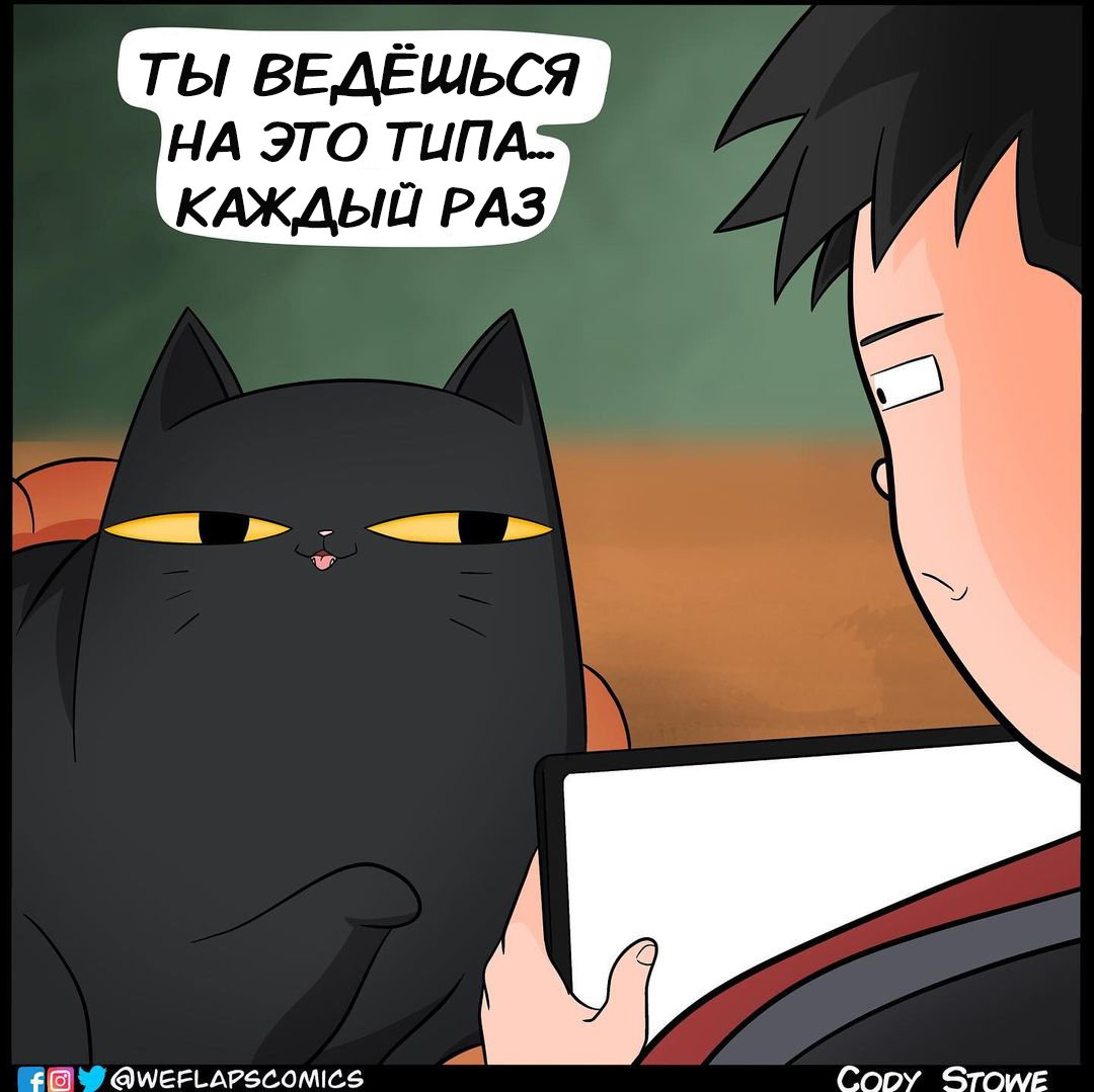 Again - Comics, Translation, Translated by myself, Weflapscomics, cat, Longpost